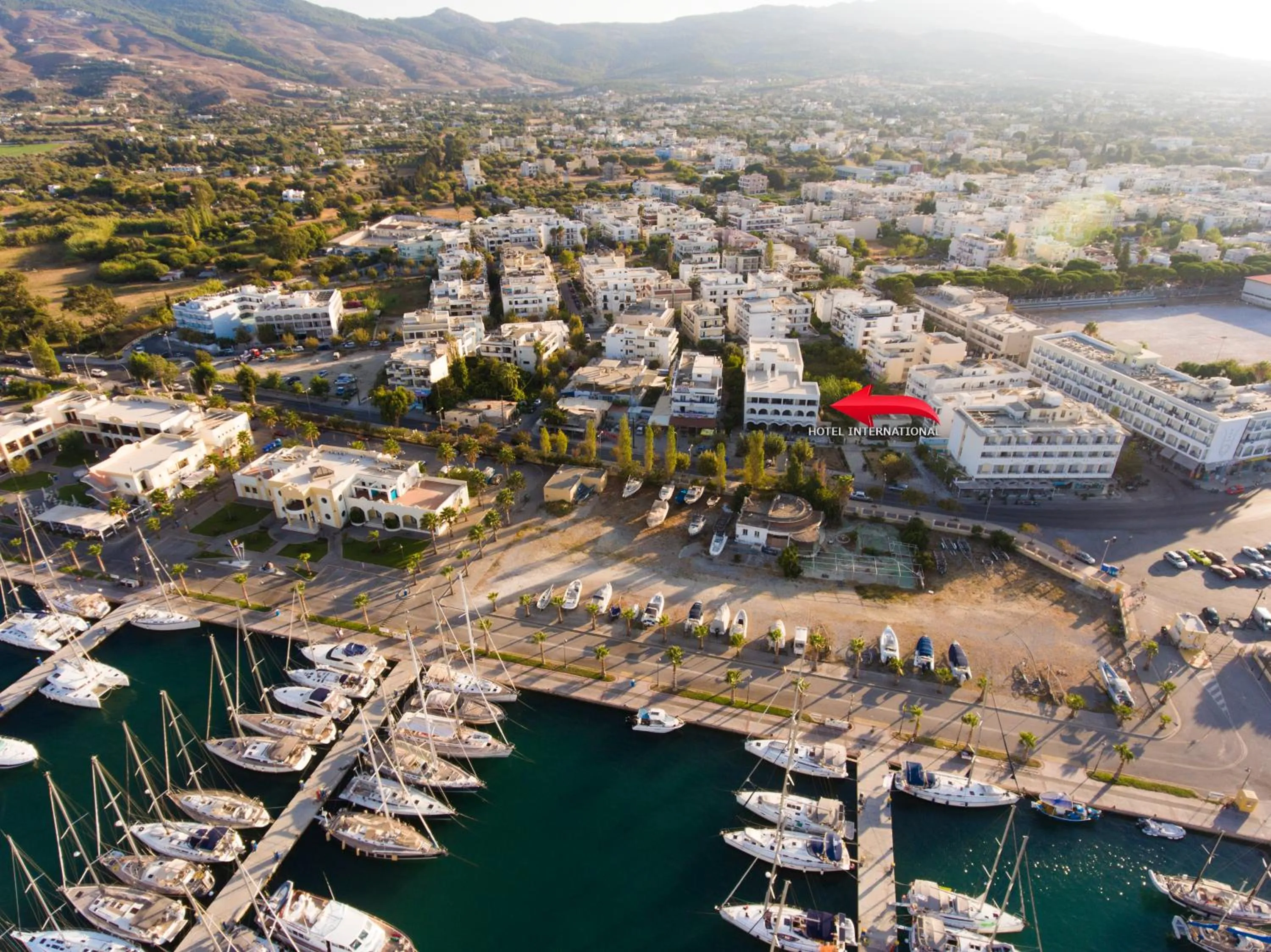 Bird's eye view in International Hotel