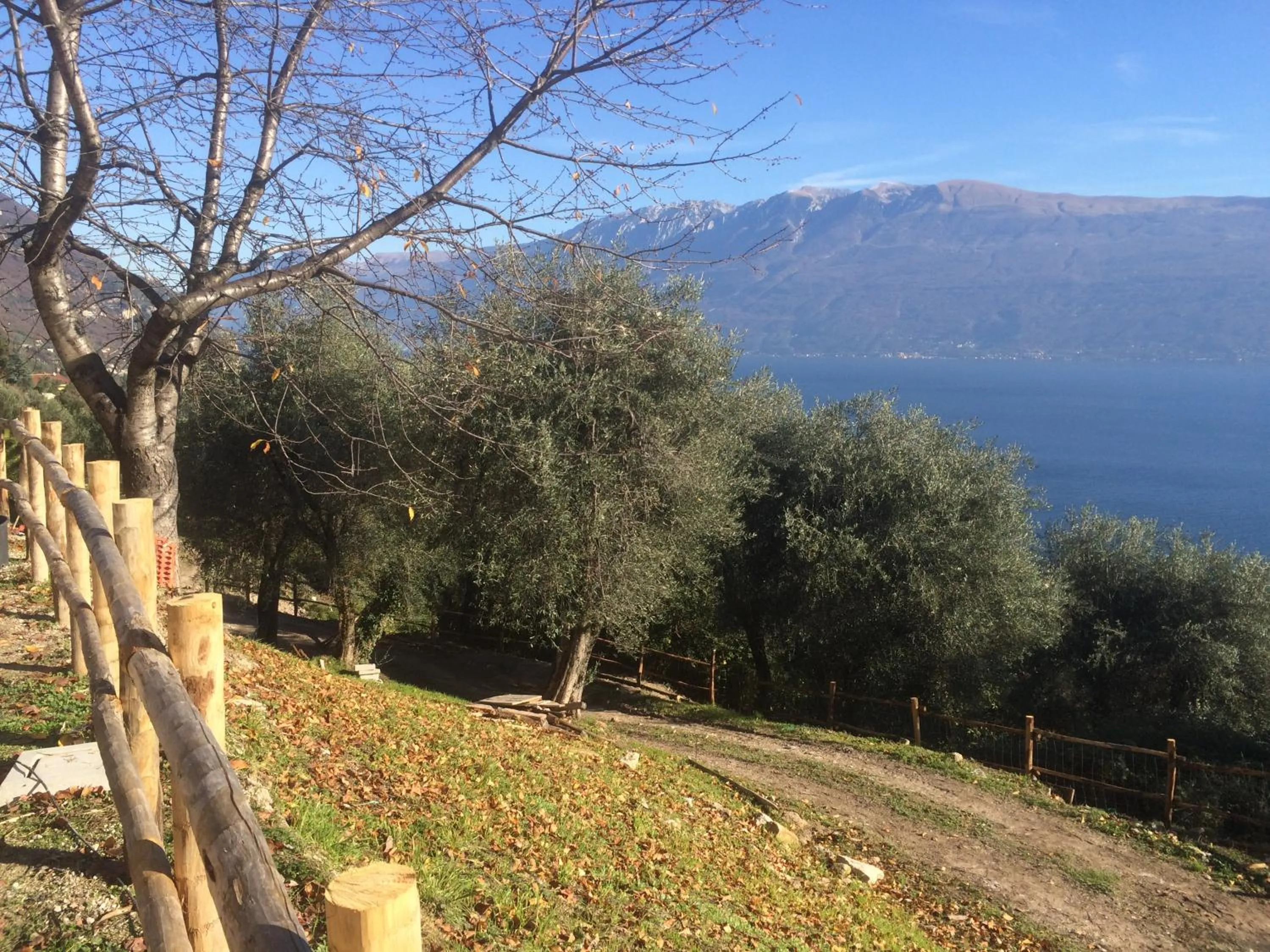 Garden in Cascina Varini