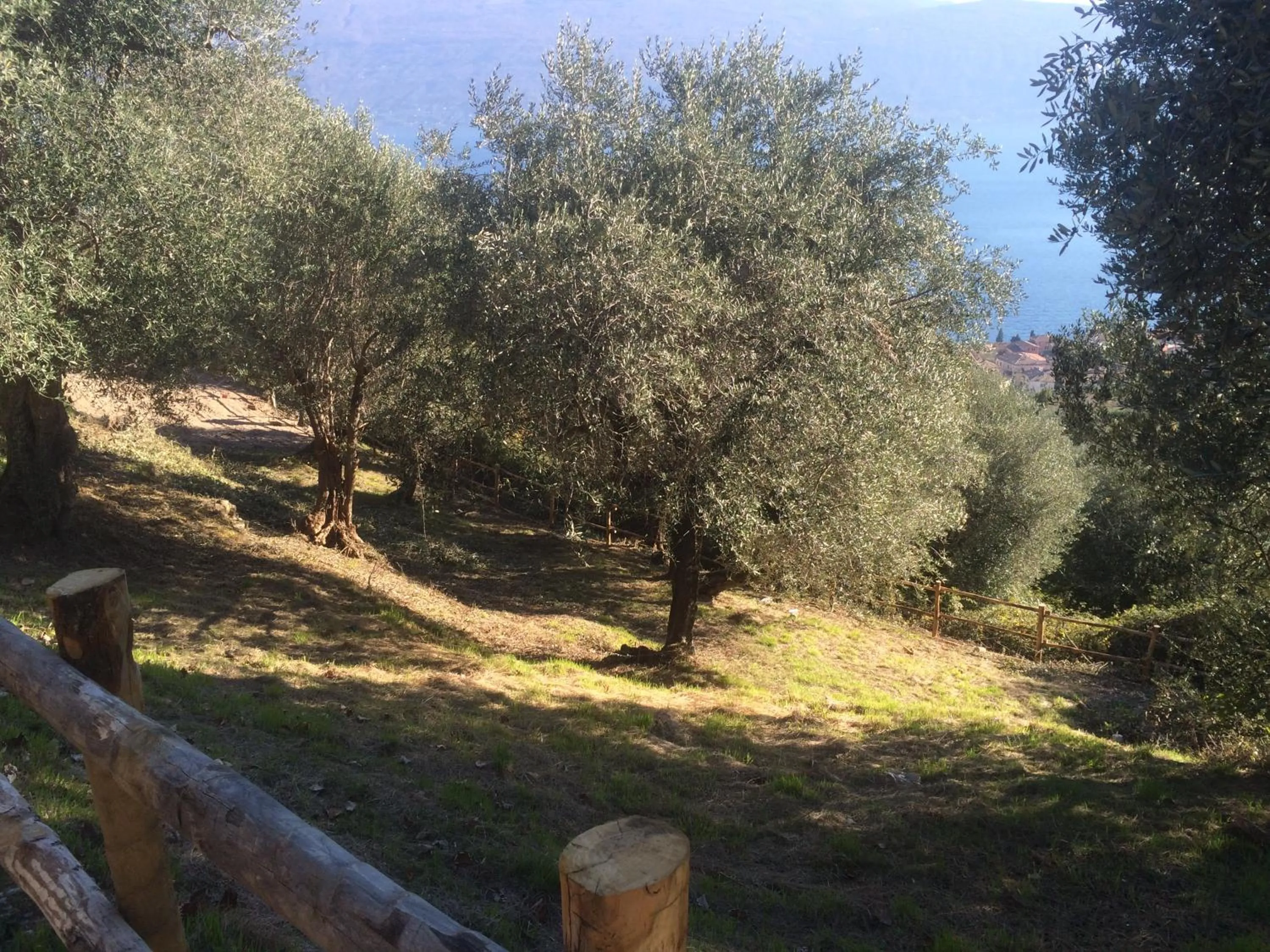 Garden in Cascina Varini
