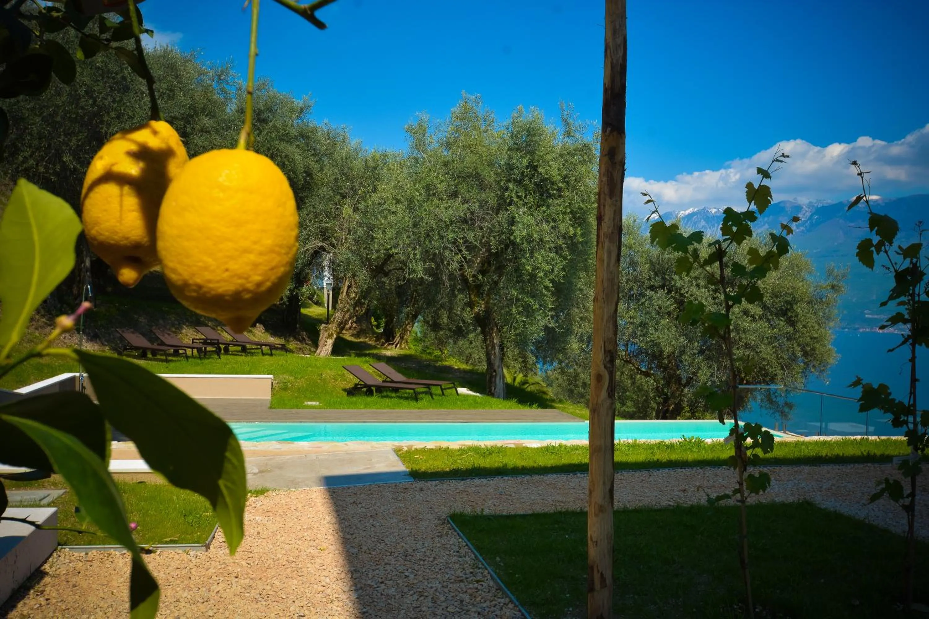Swimming pool in Cascina Varini