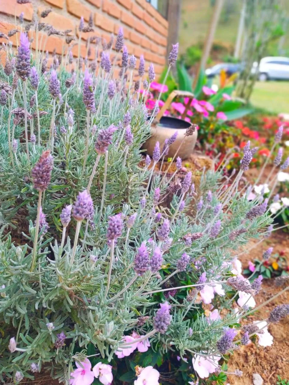 Spring in Pousada Refugio Sol e Brisa