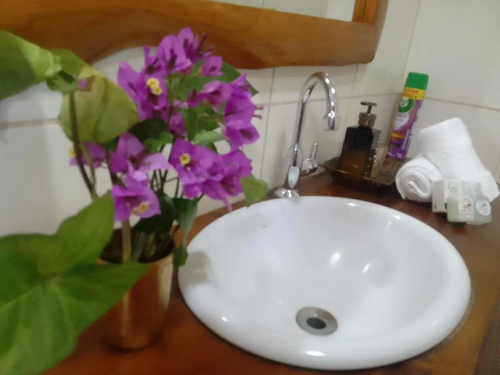 Bathroom in Pousada Refugio Sol e Brisa