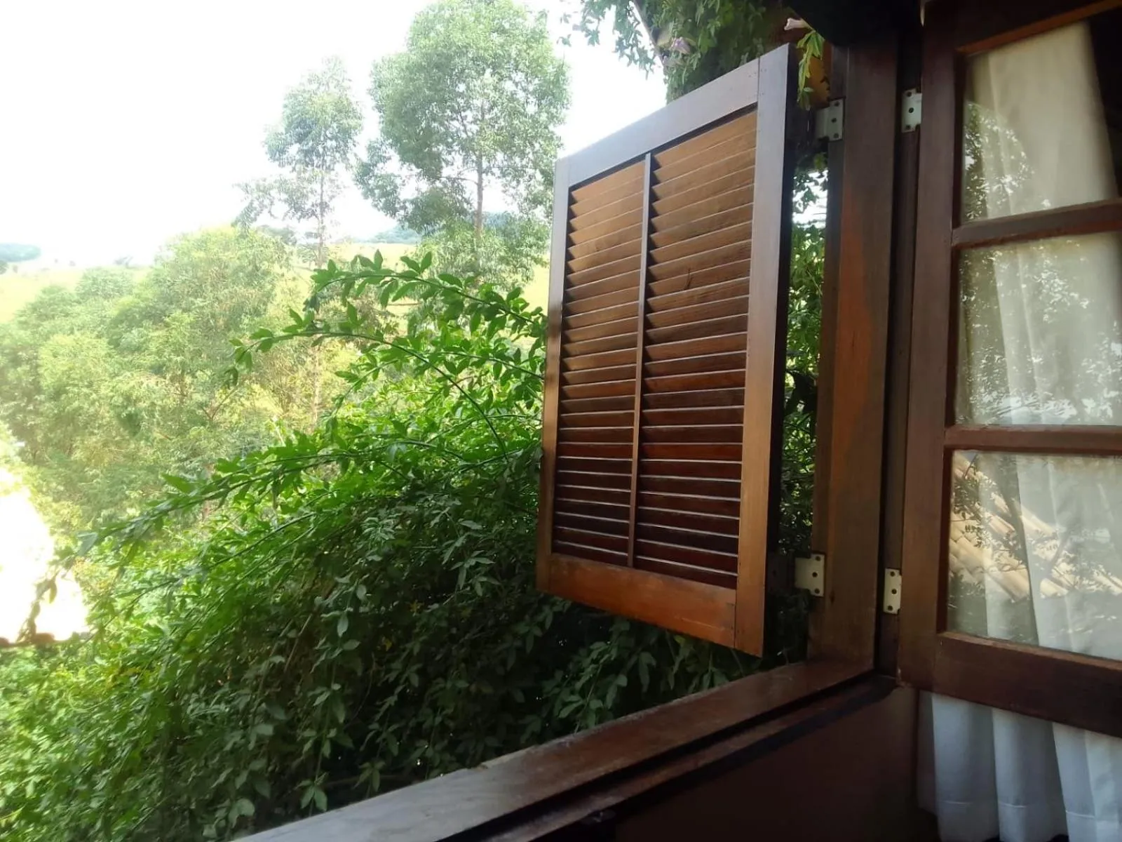 Garden view in Pousada Refugio Sol e Brisa