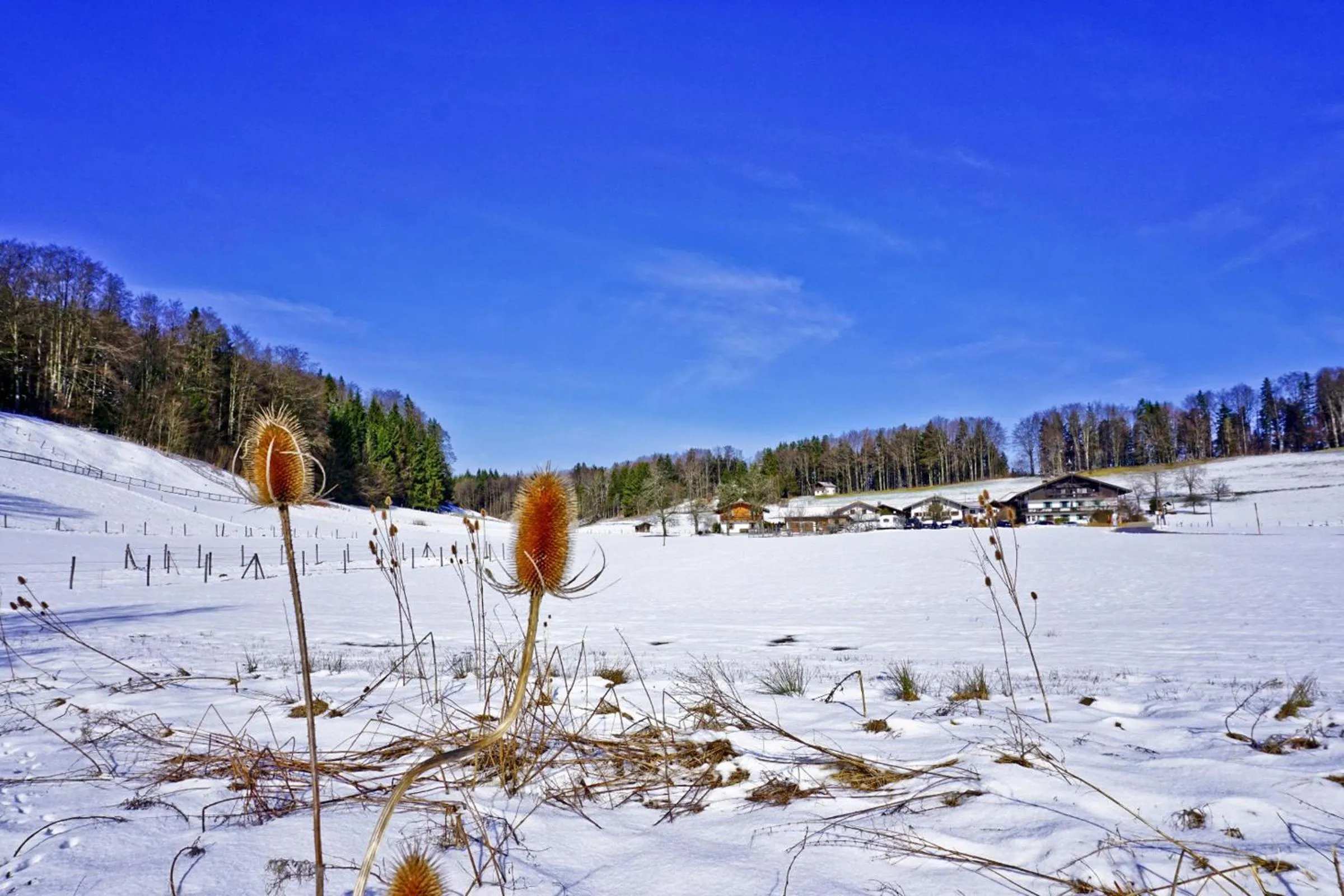Ferienwohnungen Wanderparadies Bauernhof