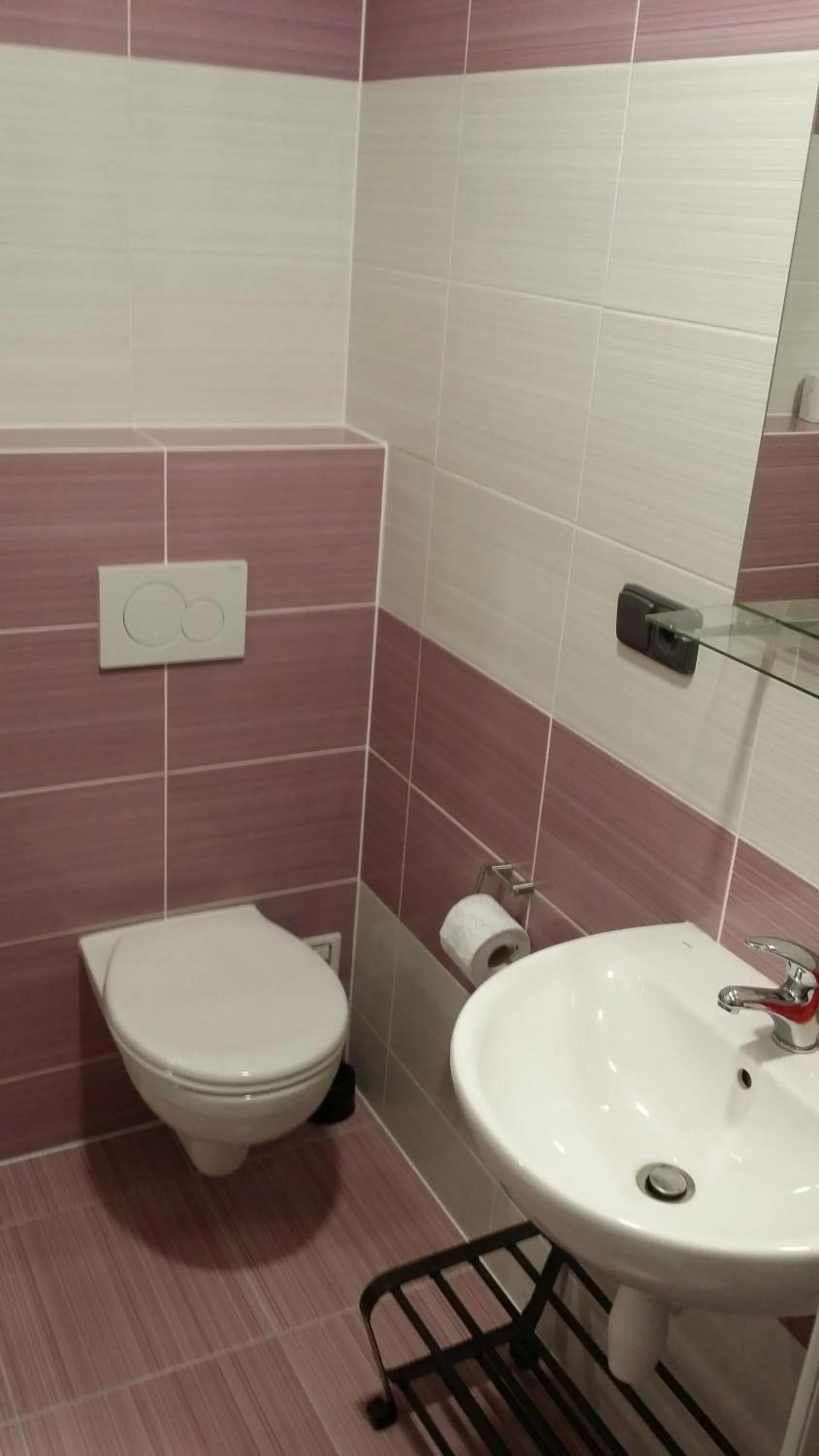 Toilet in Ubytov¿ N?m?i?ky