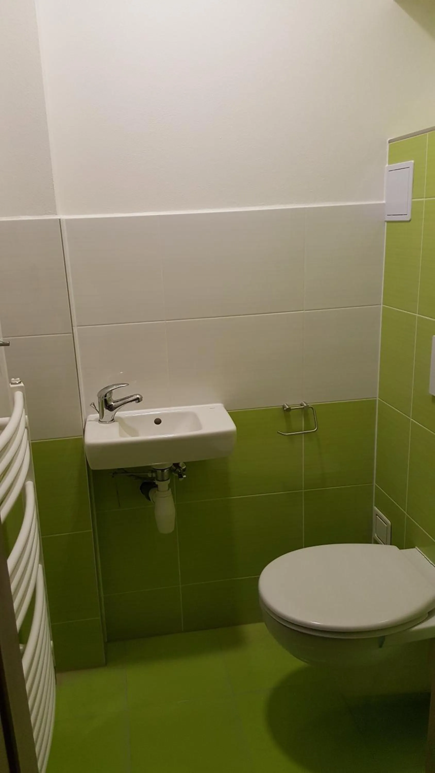 Toilet in Ubytov¿ N?m?i?ky