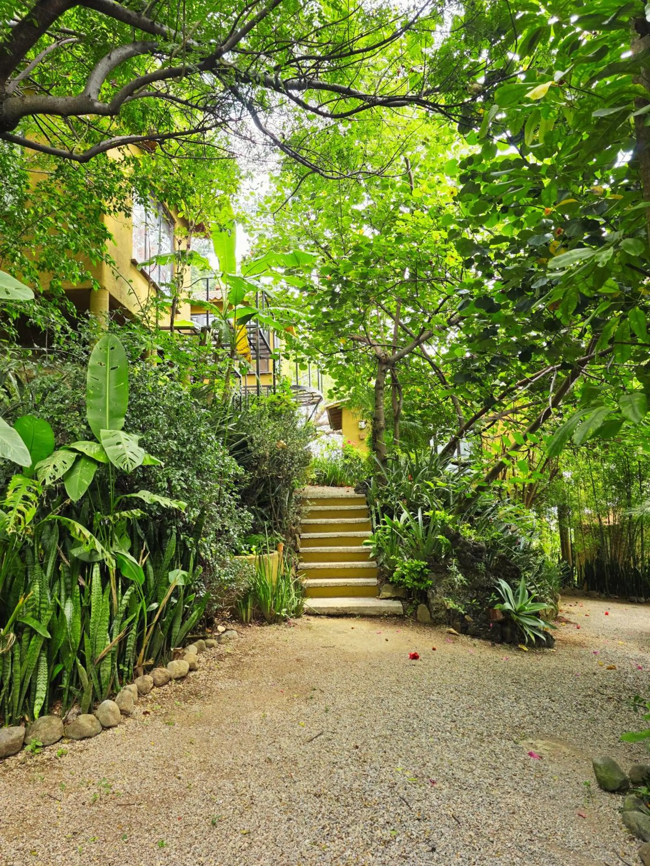 Cabañas el Nido de la Huilota