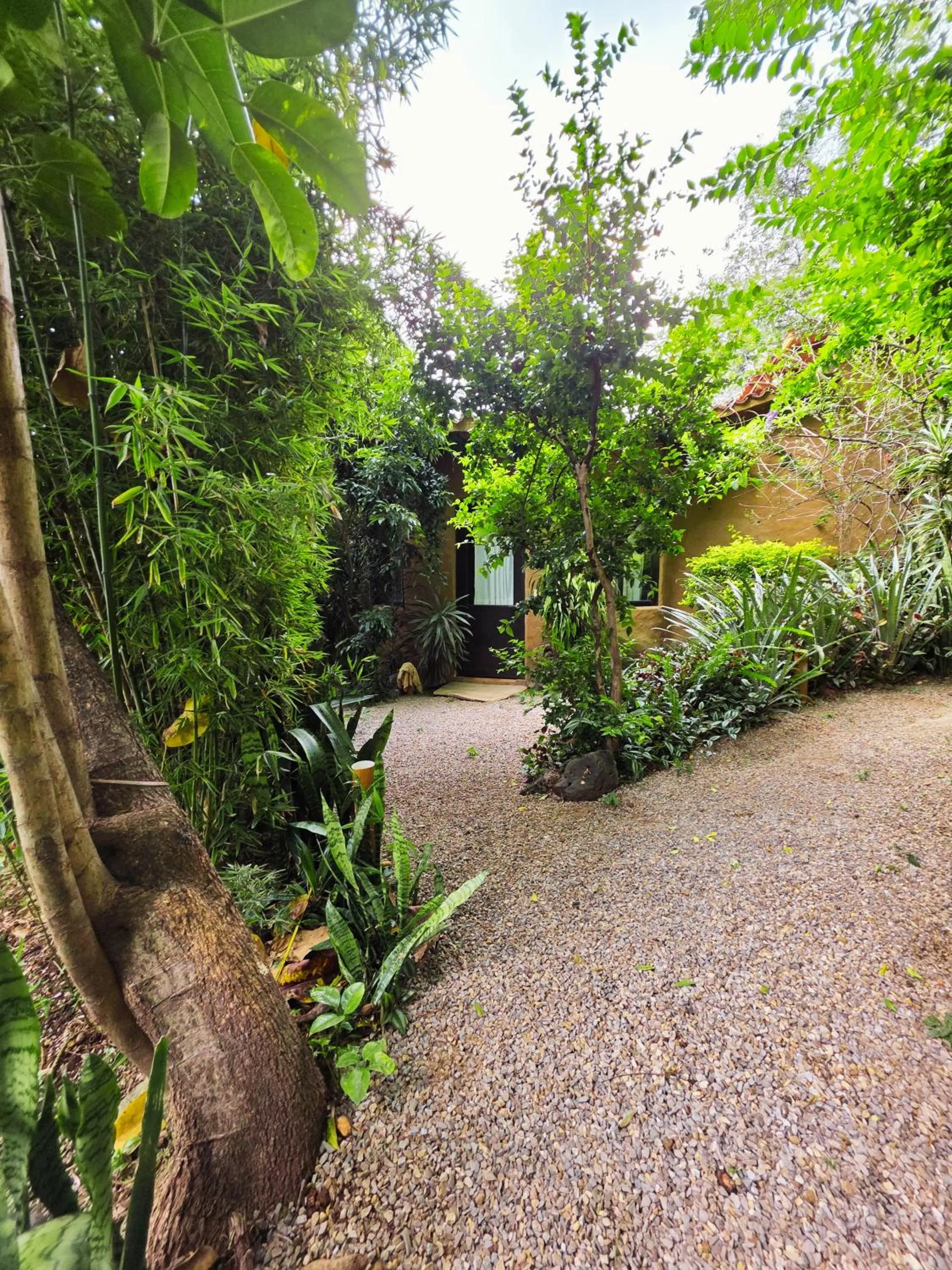 Cabañas el Nido de la Huilota