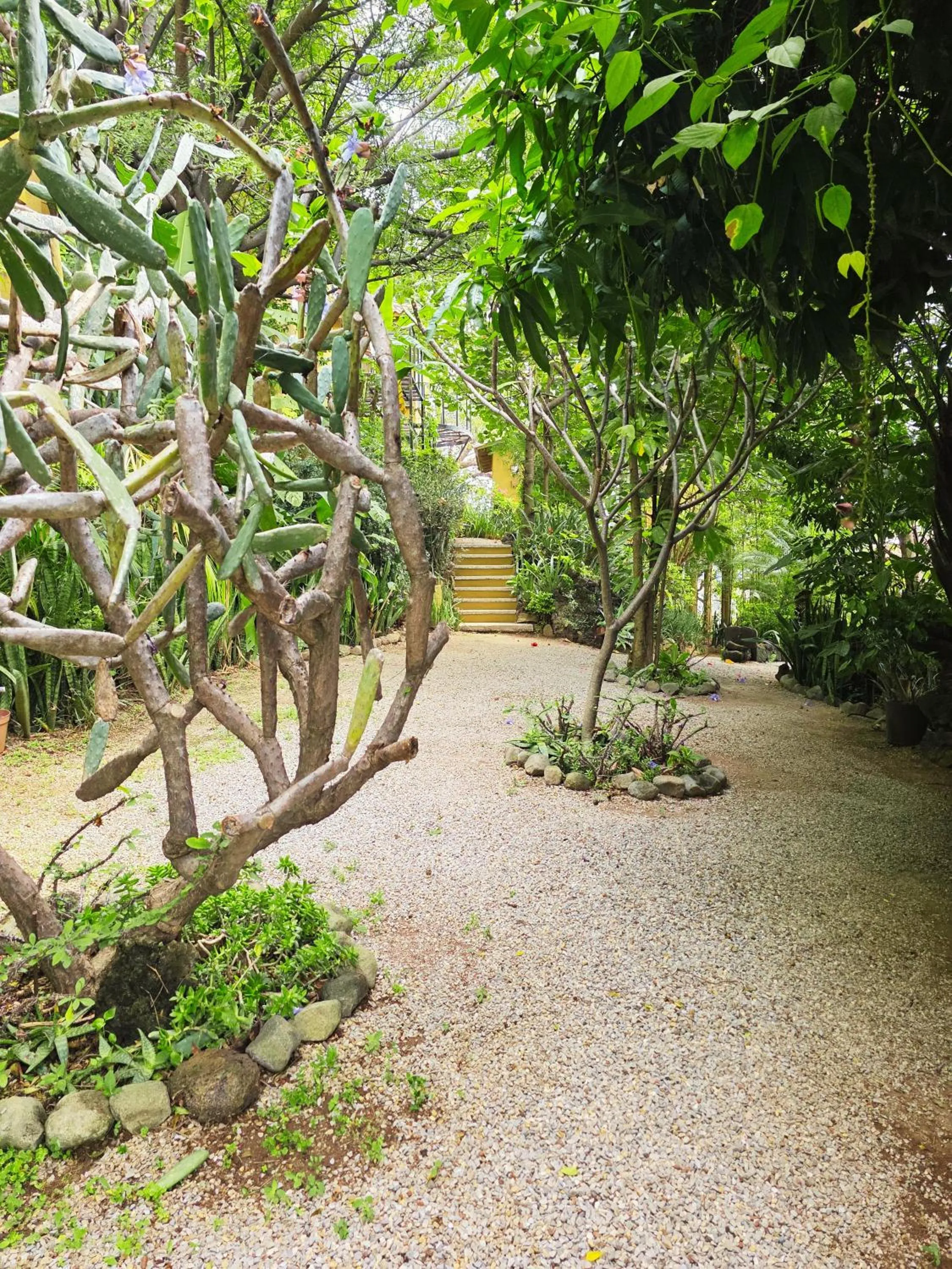Cabañas el Nido de la Huilota