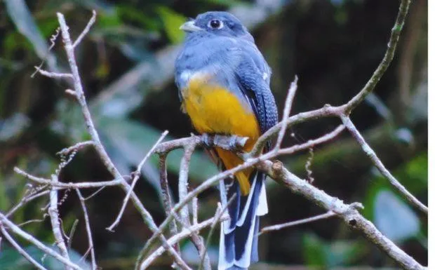Pousada Bocaina
