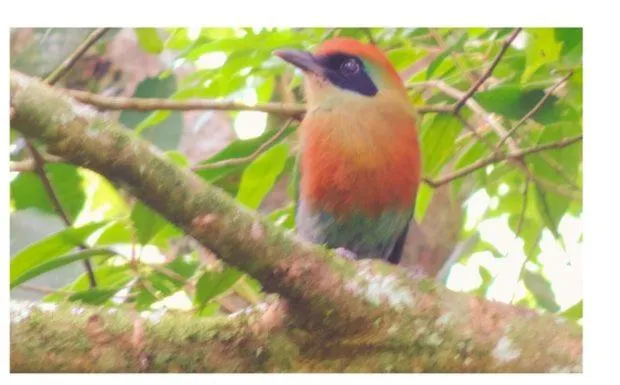 Pousada Bocaina