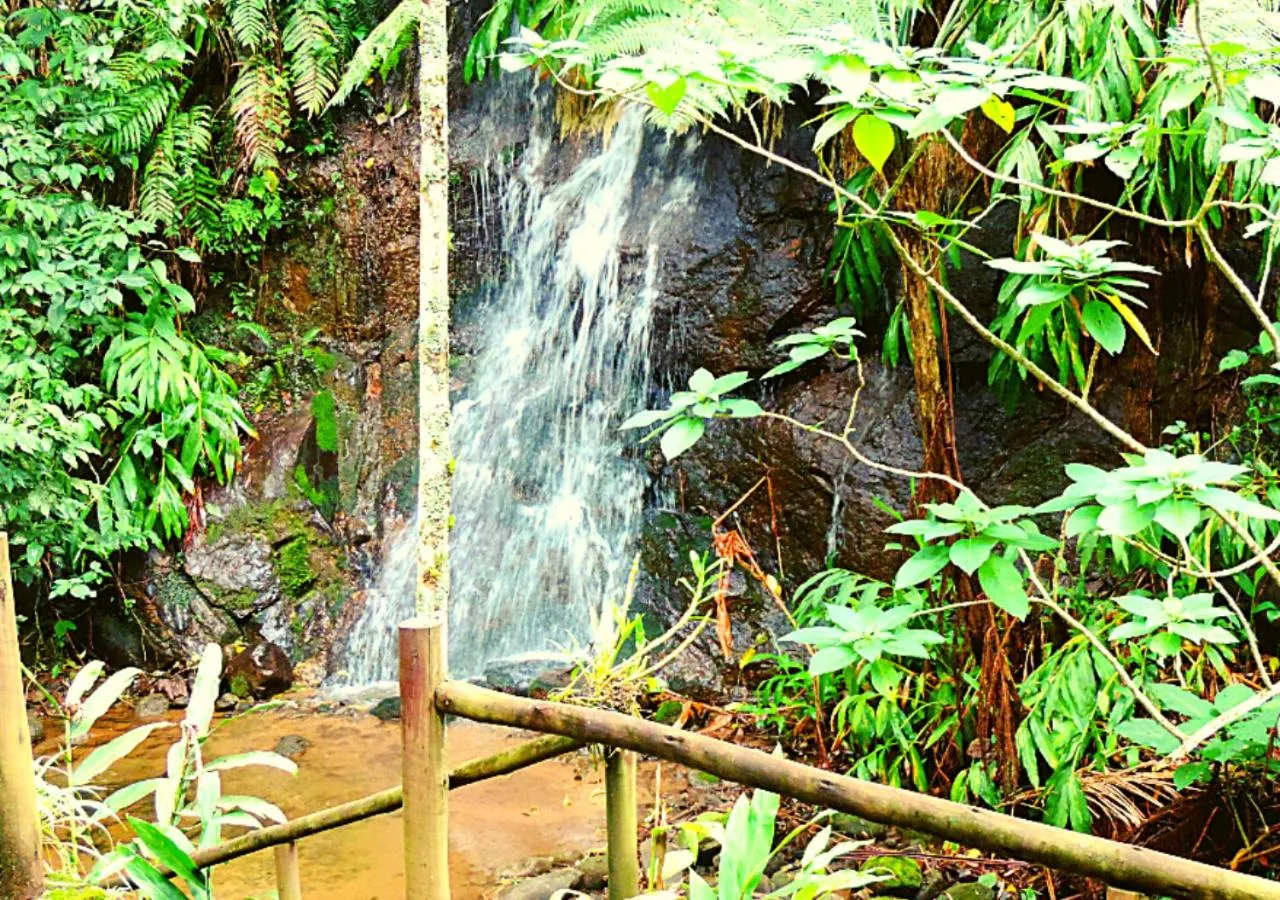 Pousada Bocaina