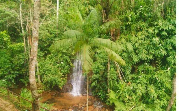 Pousada Bocaina