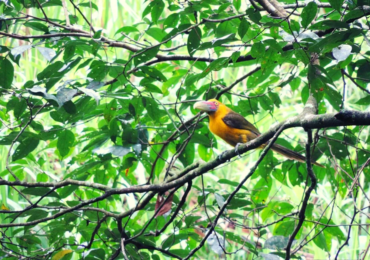 Pousada Bocaina