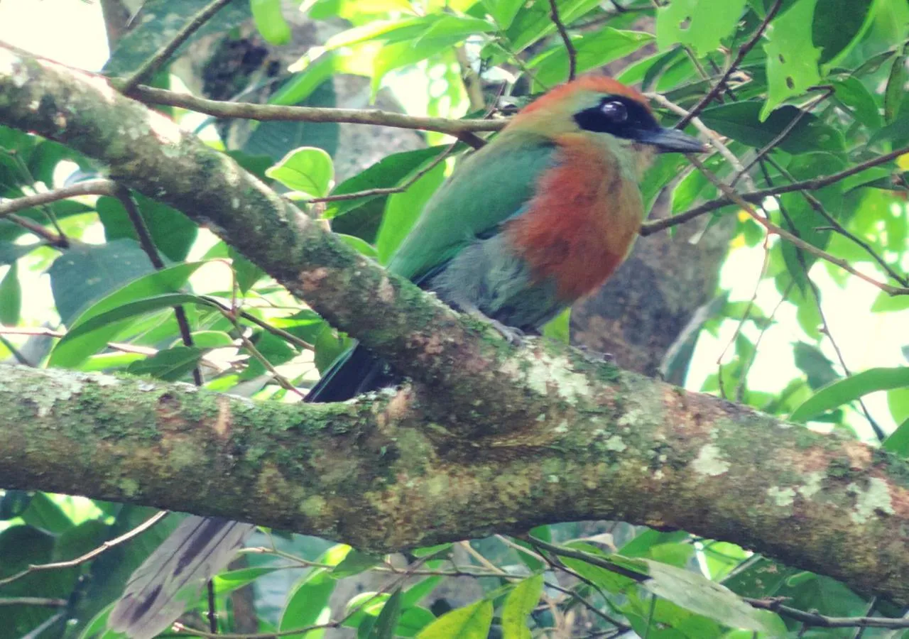 Pousada Bocaina