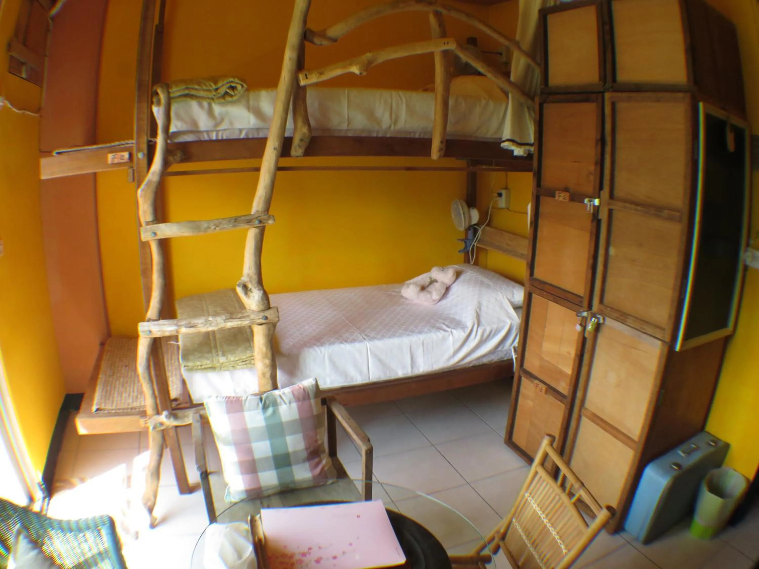 bunk bed, Bed in Dulan Groundnut Backpacker Hostel