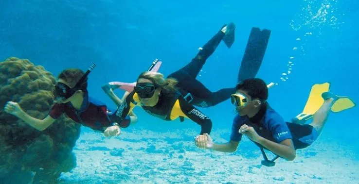 Snorkeling in Tropical Gardens Suites and Apartments