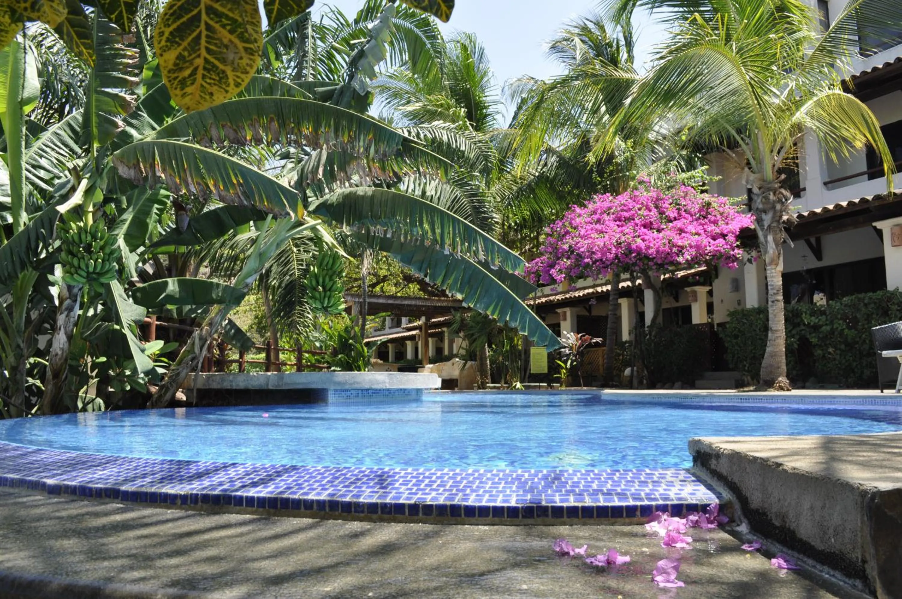 Swimming pool in Tropical Gardens Suites and Apartments