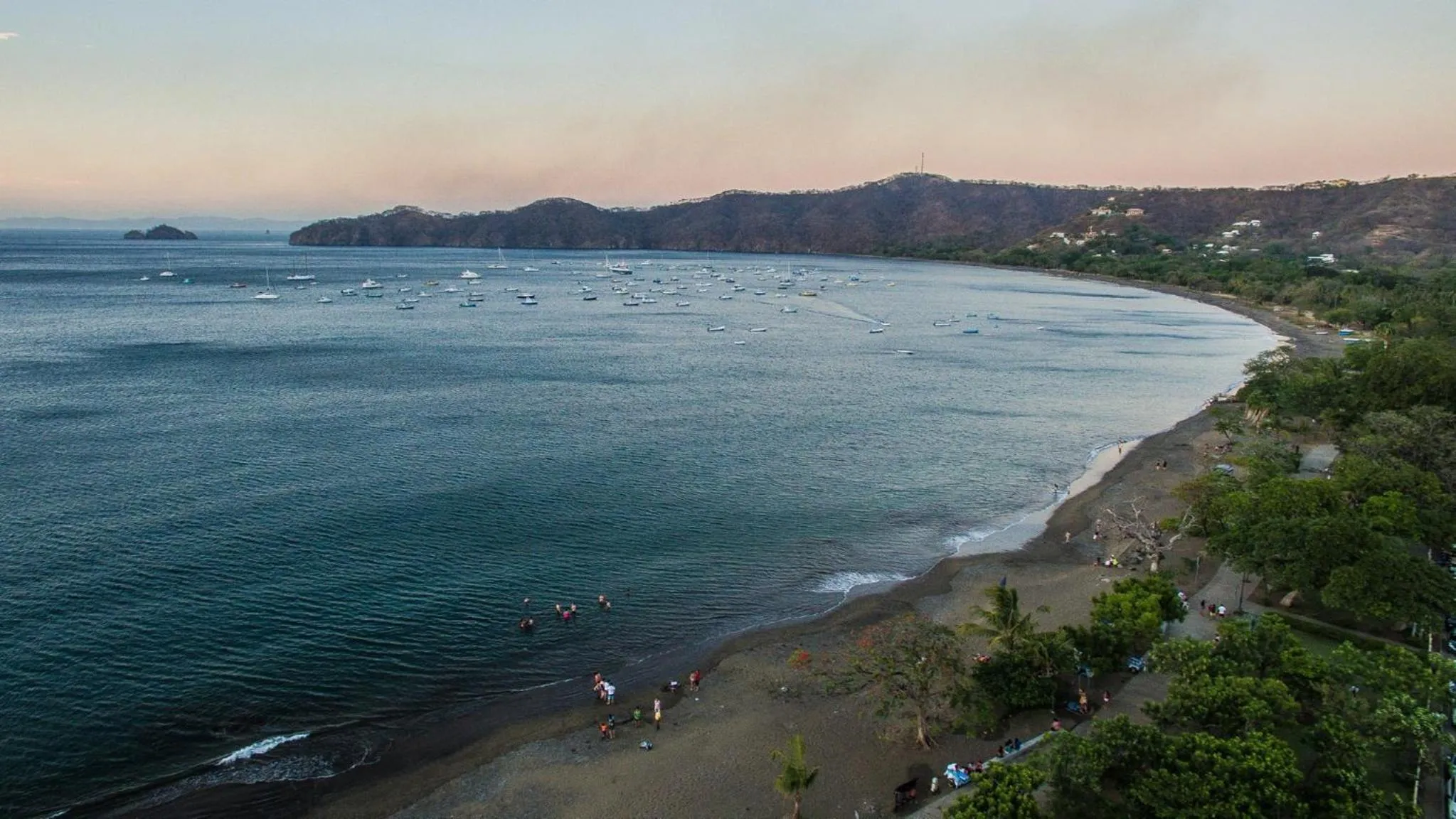 Beach in Tropical Gardens Suites and Apartments