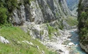 Area and facilities in Hotel & Spa Villa de Mestas