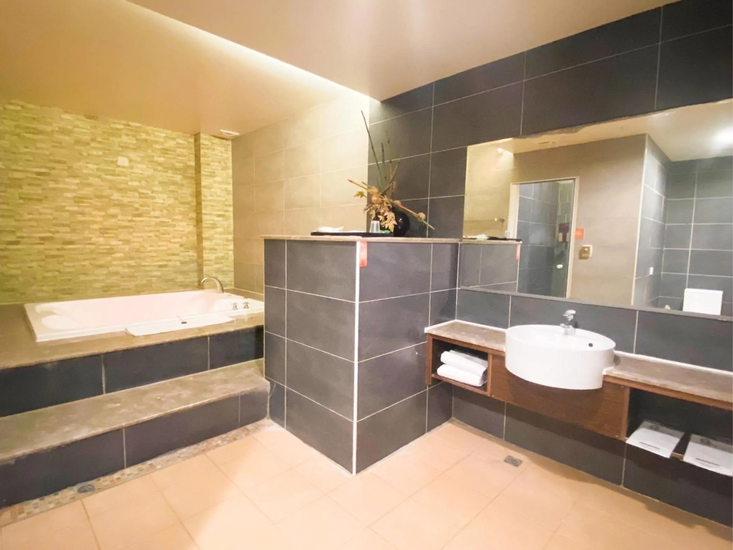 Shower in Hua Xiang Motel