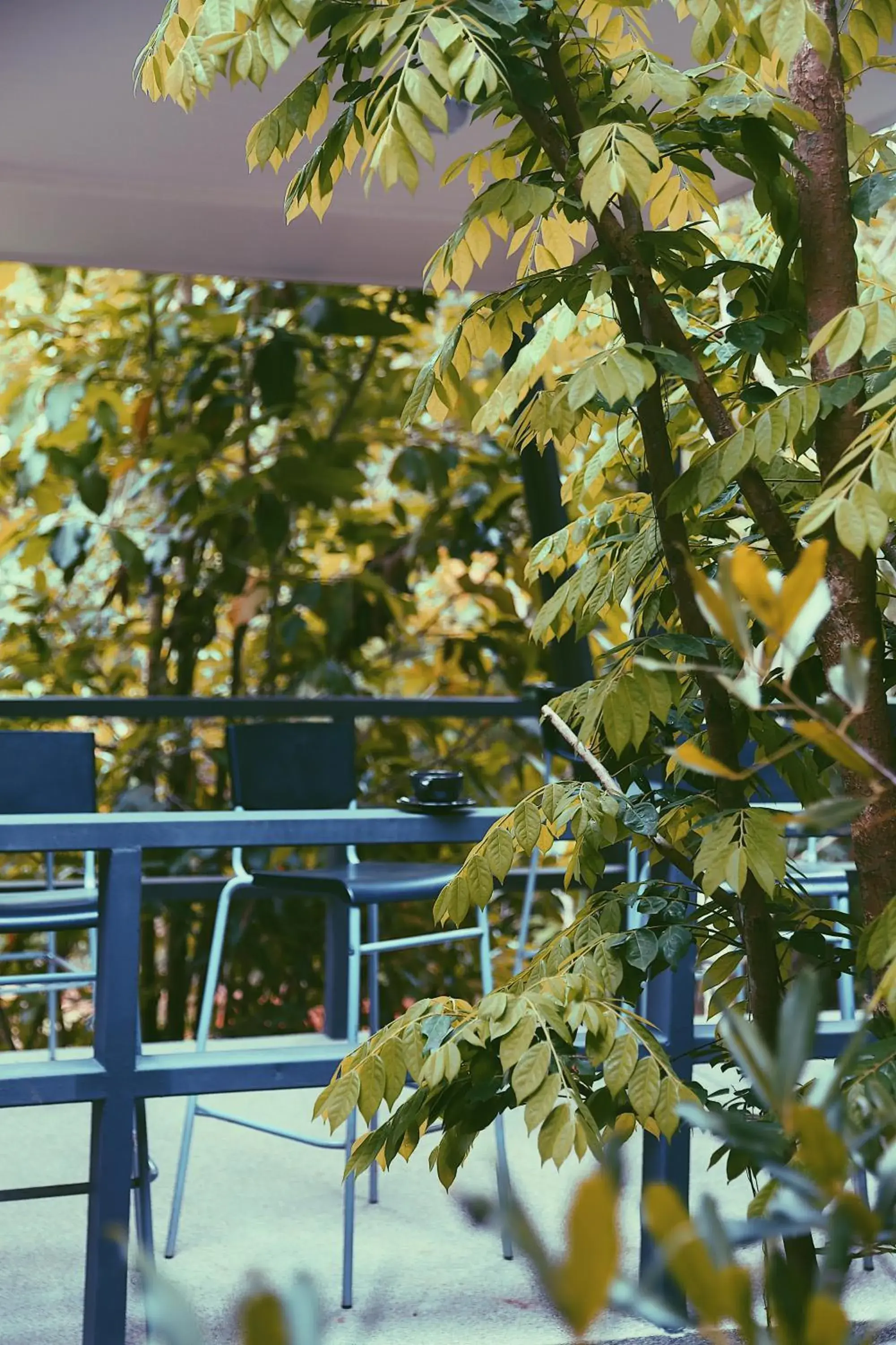 Restaurant/places to eat in Na Sook Wellness Resort Restaurant/places to eat in Na Sook Wellness Resort