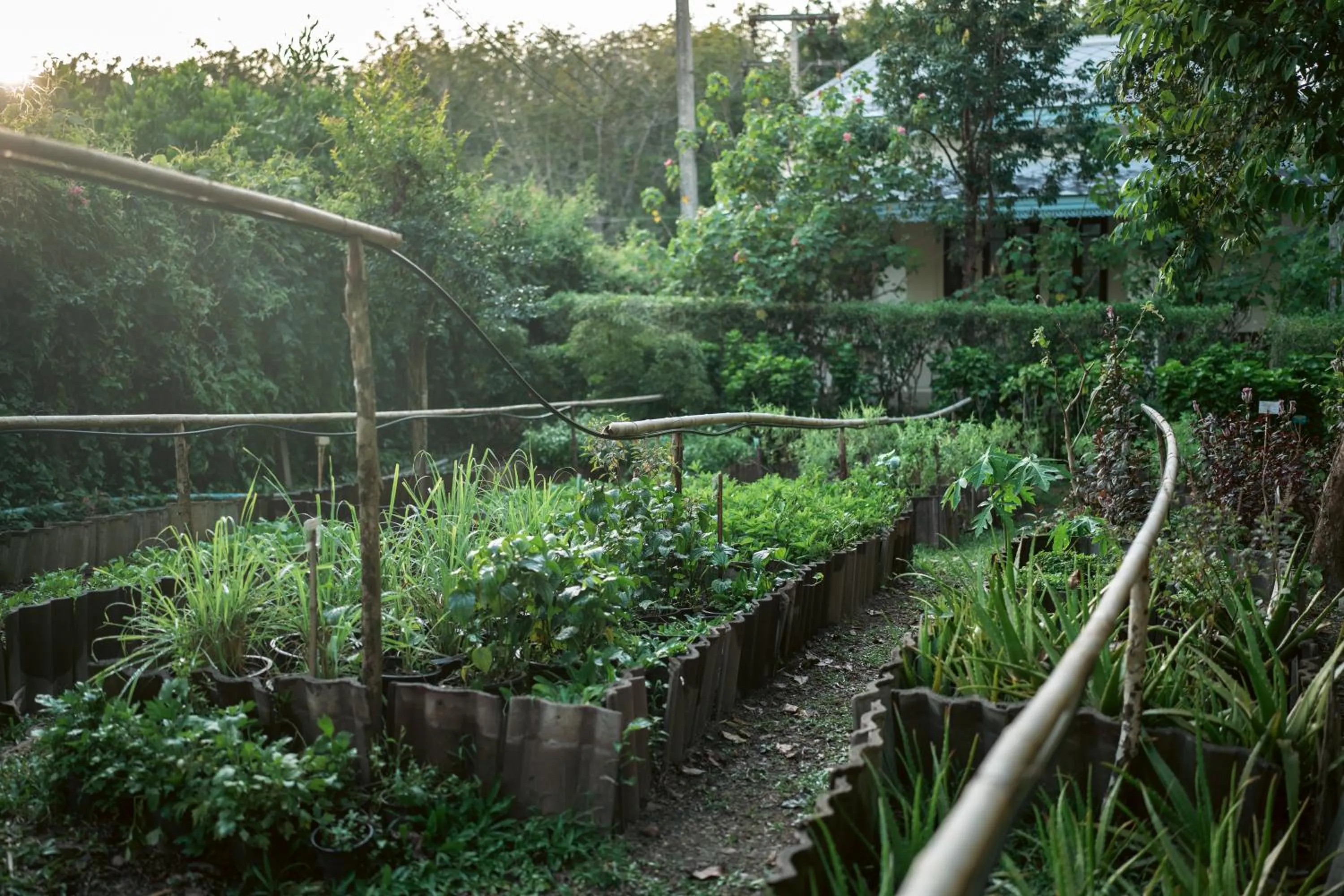 Garden in Na Sook Wellness Resort
