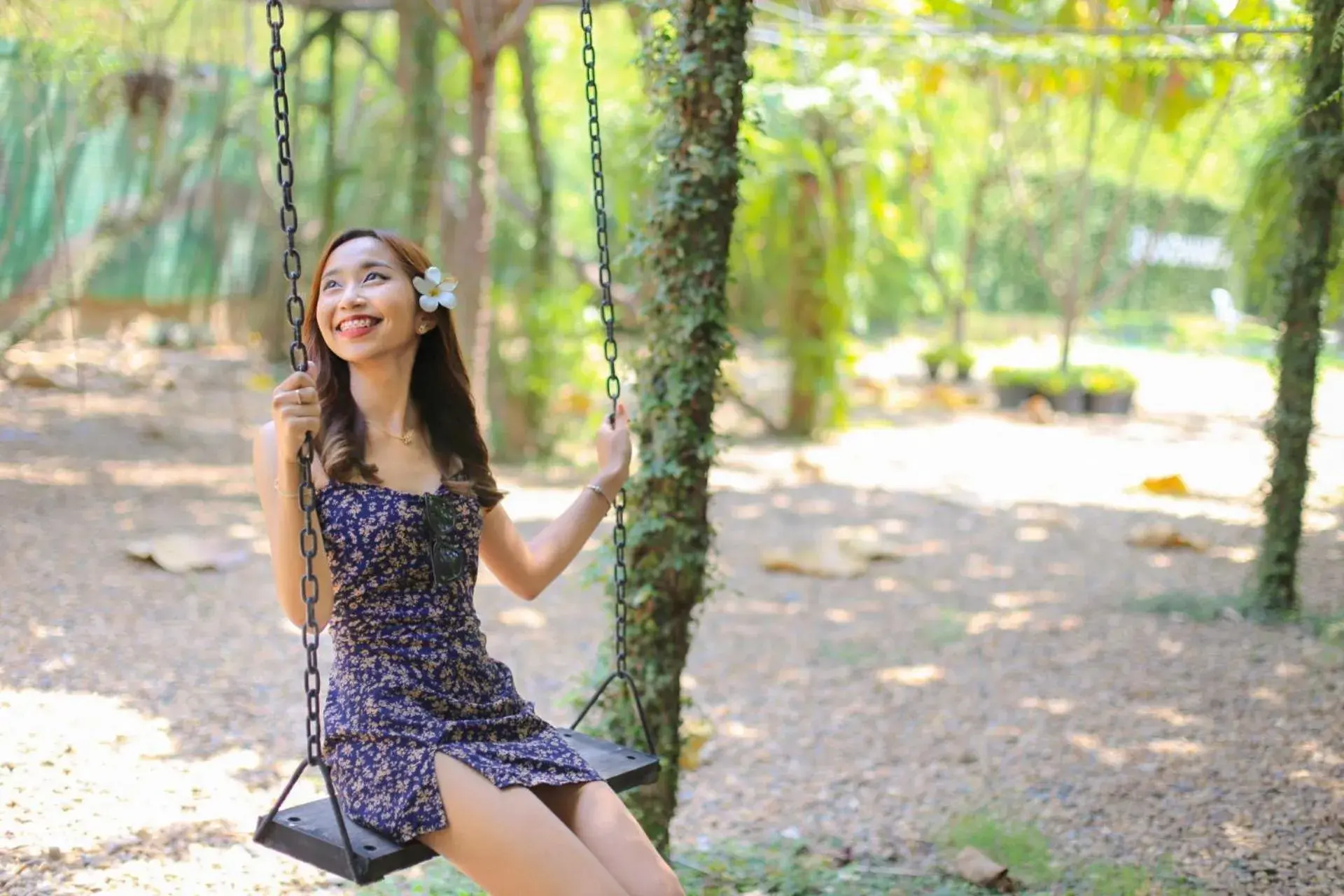 Garden view in Mittapan Hotel Garden view in Mittapan Hotel