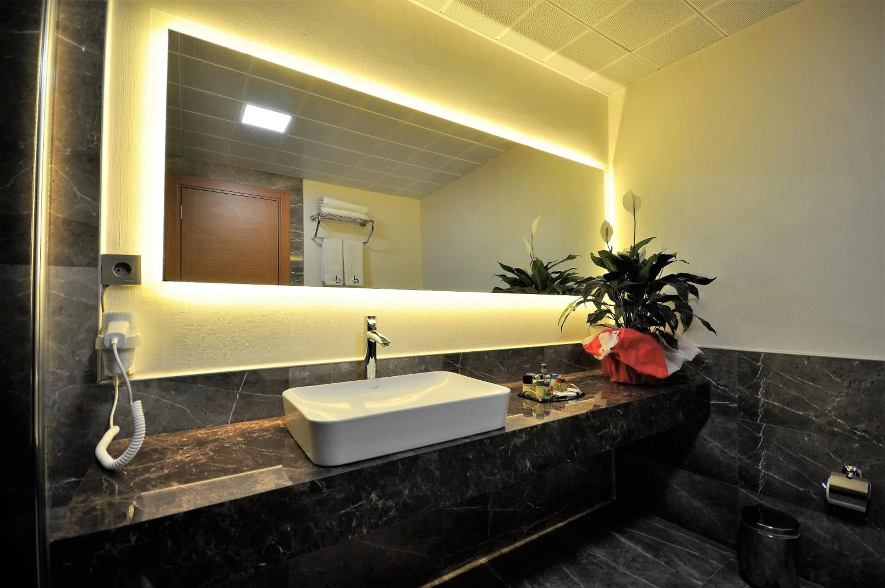 Bathroom in Double Comfort Hotel