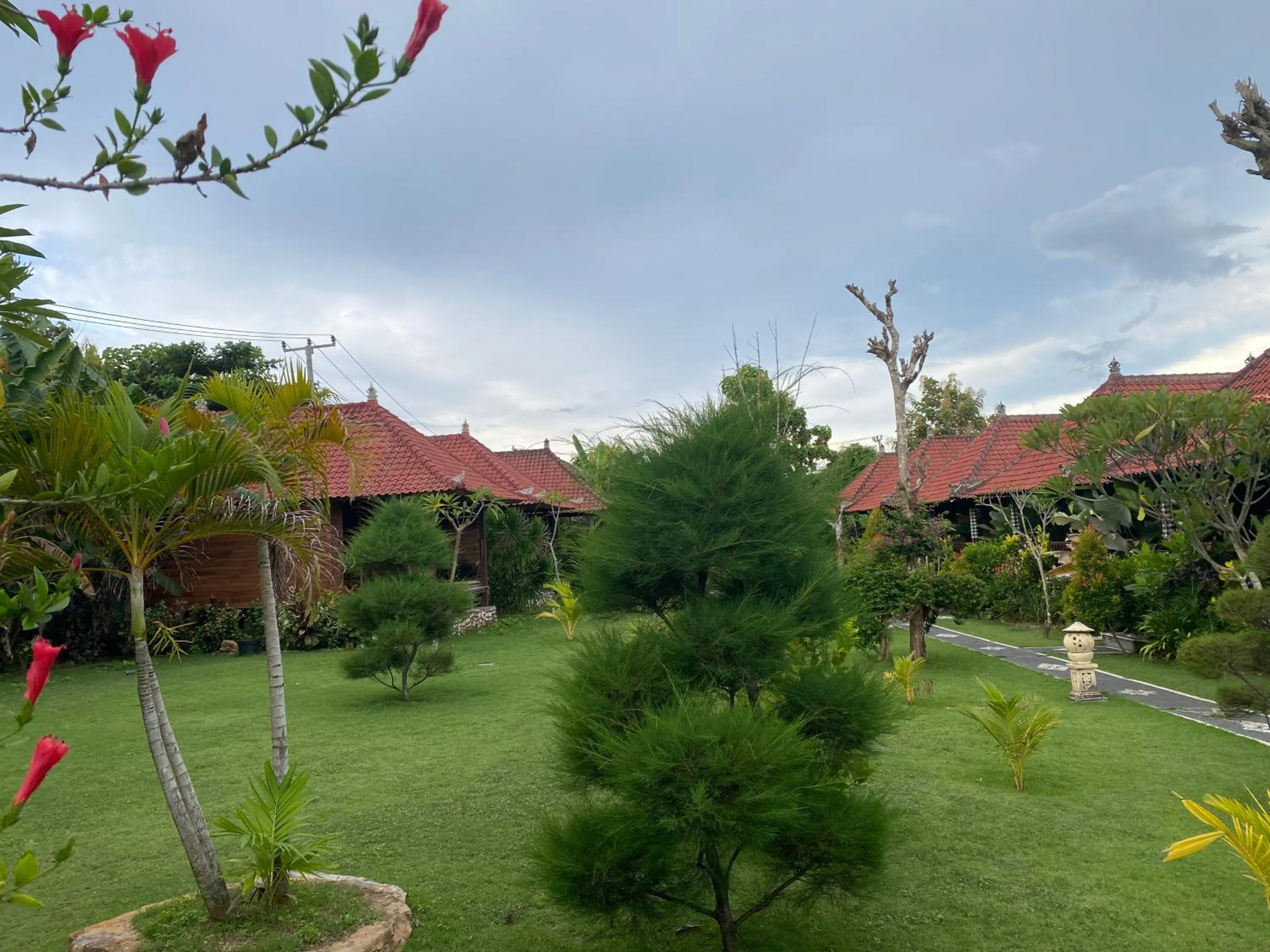 Garden view in The Niti Hut's Lembongan