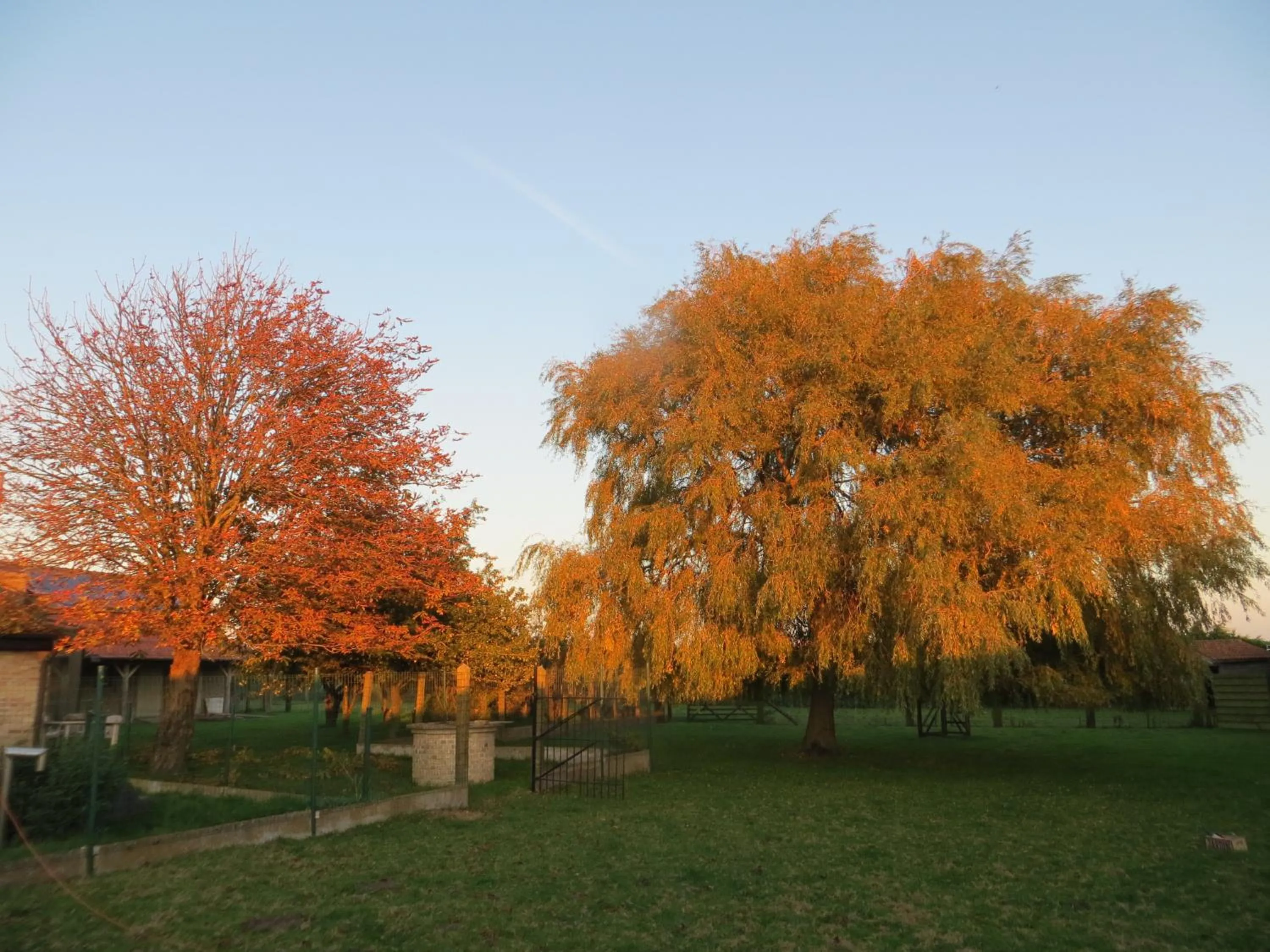 Garden view in B&B 't Hannonshof