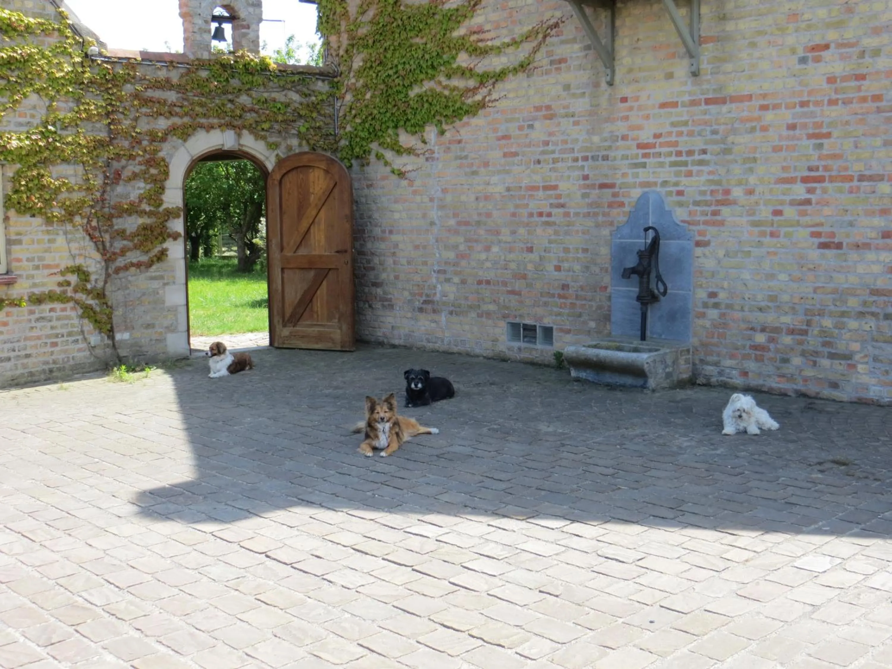 Animals in B&B 't Hannonshof