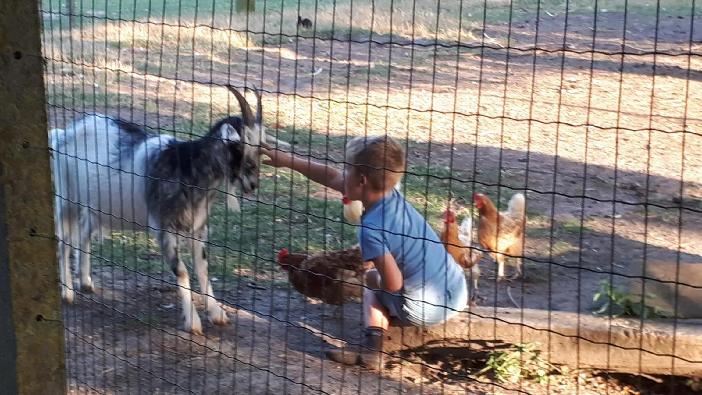 Property building in B&B 't Hannonshof