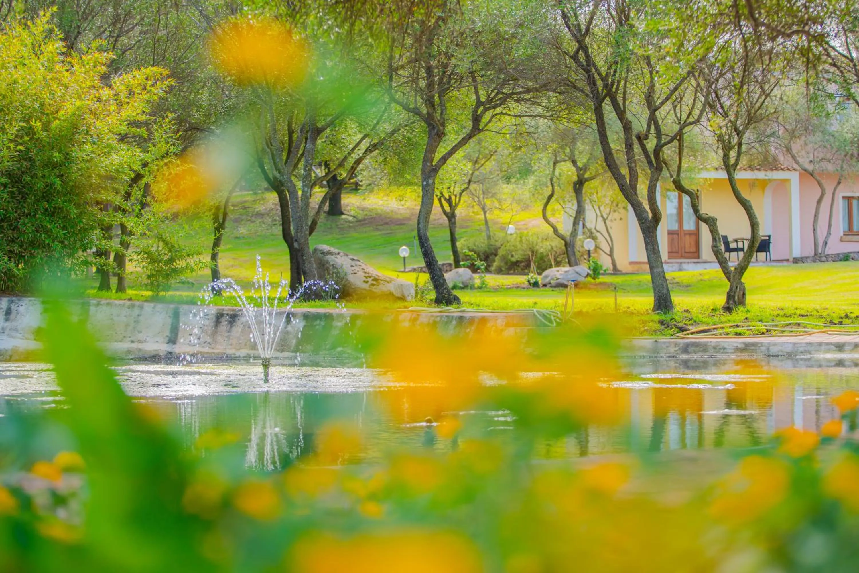 Felix Hotels - Hotel Airone