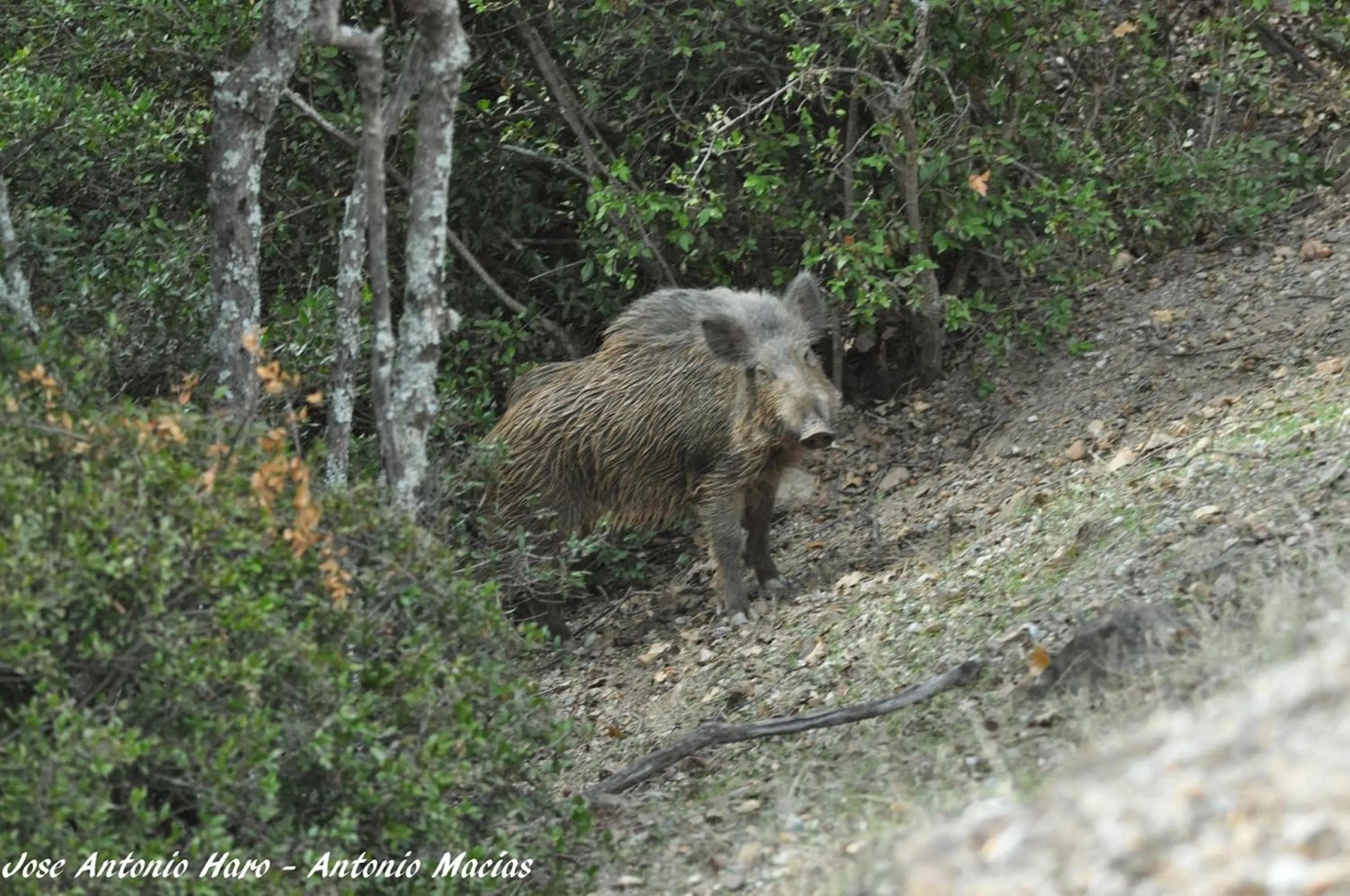 Natural landscape in Hotel Sierra de Andujar