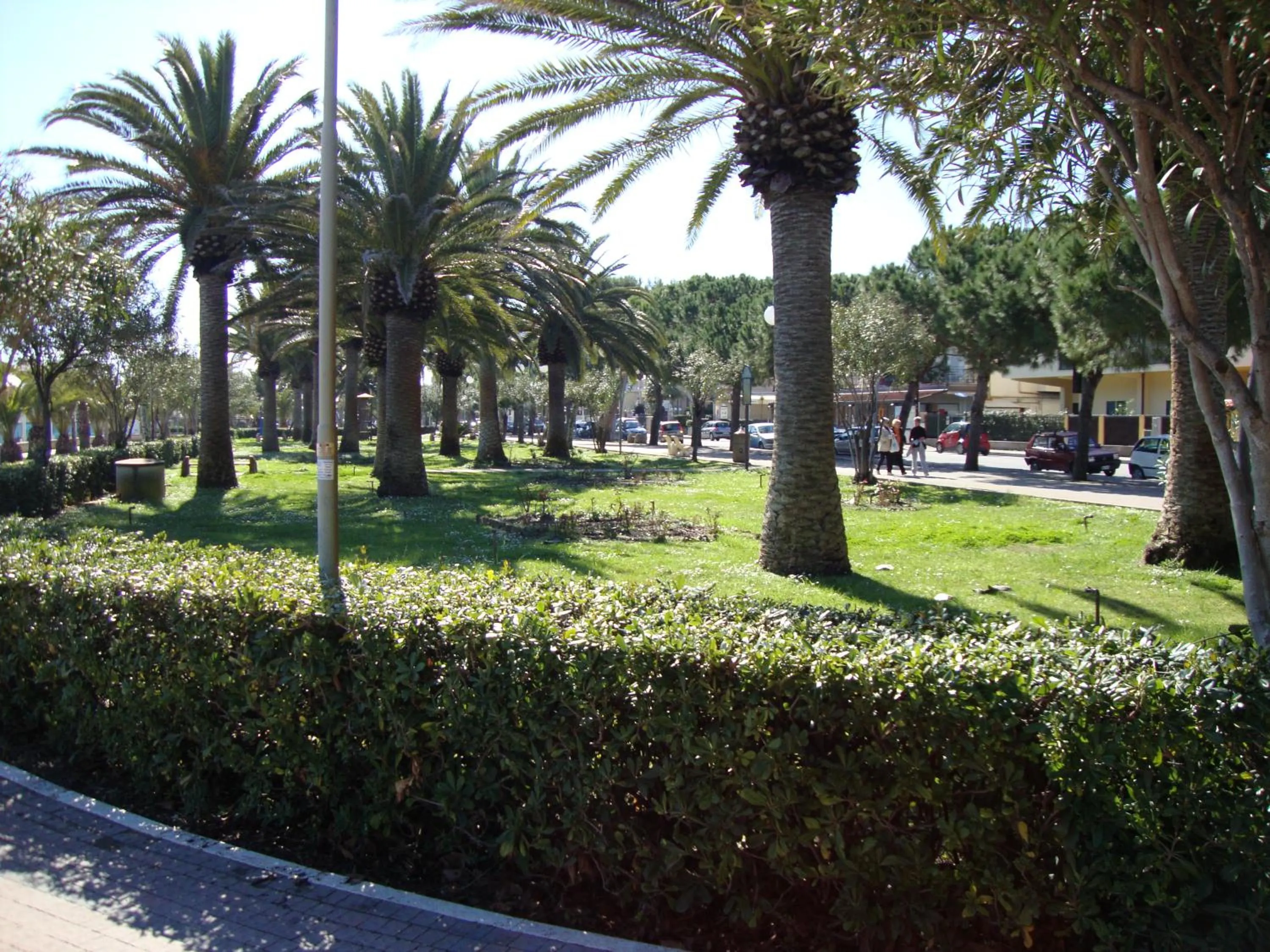 Garden in Hotel Capitano