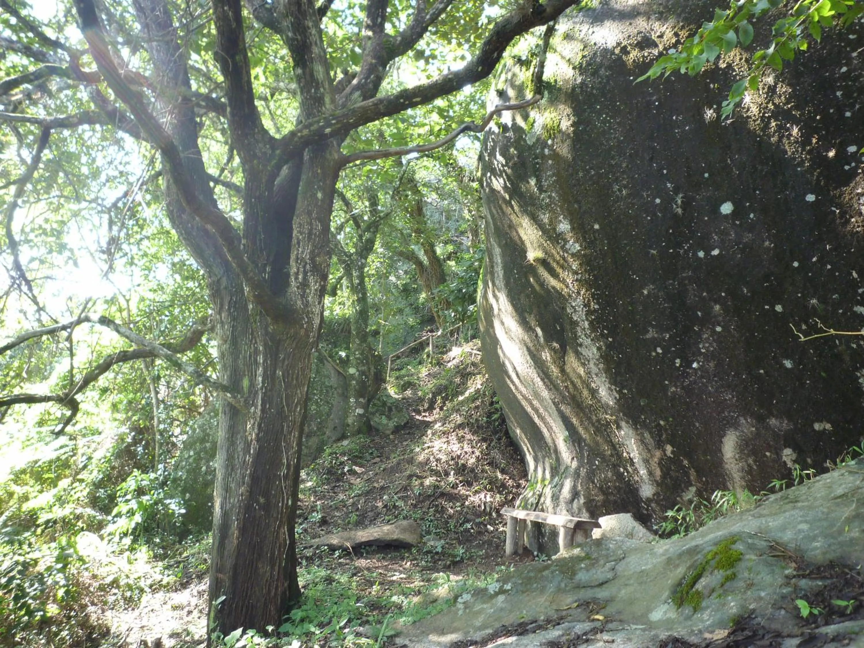 Hiking in Pousada Colina das Andorinhas