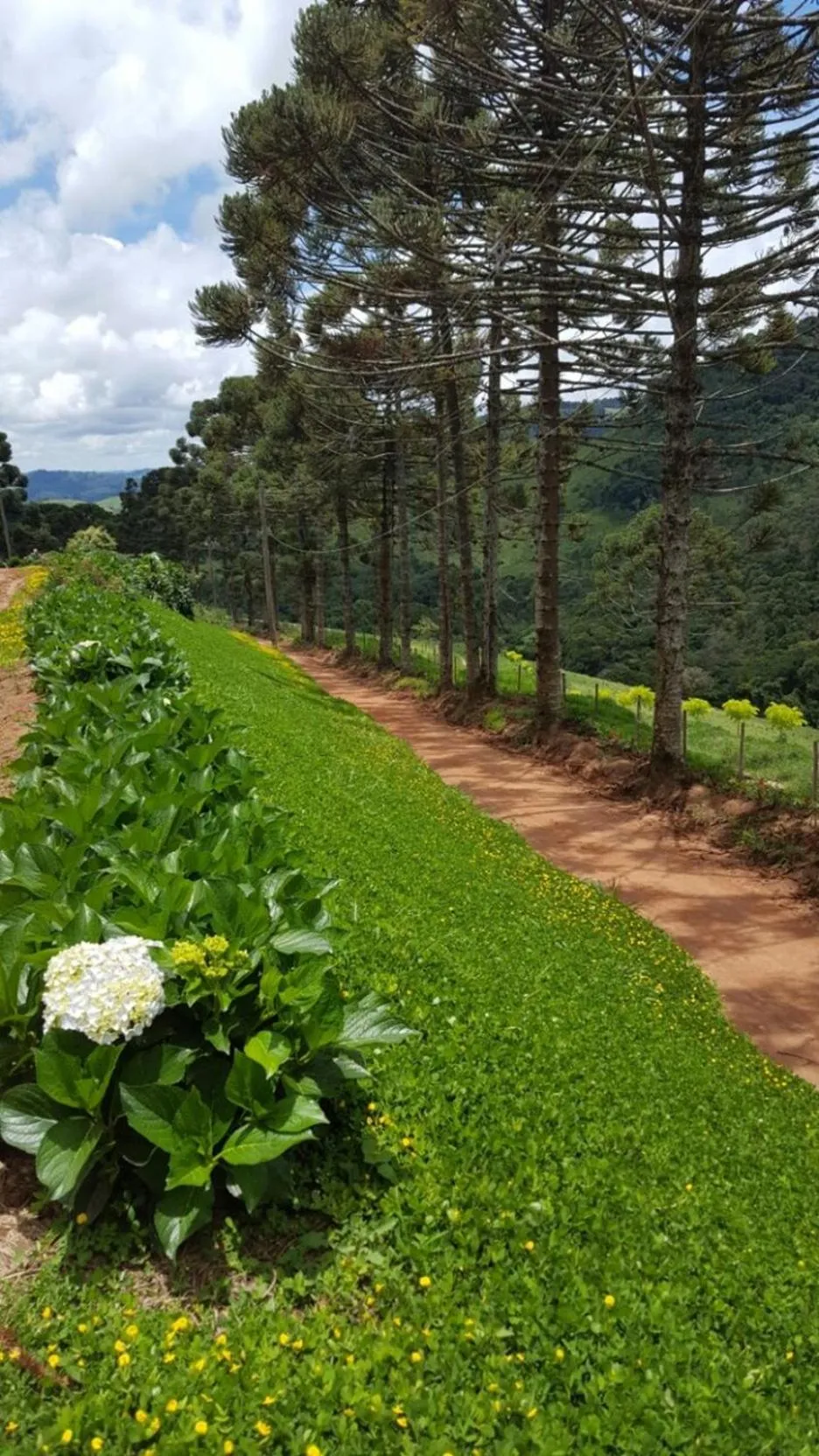 Pousada Colina das Andorinhas