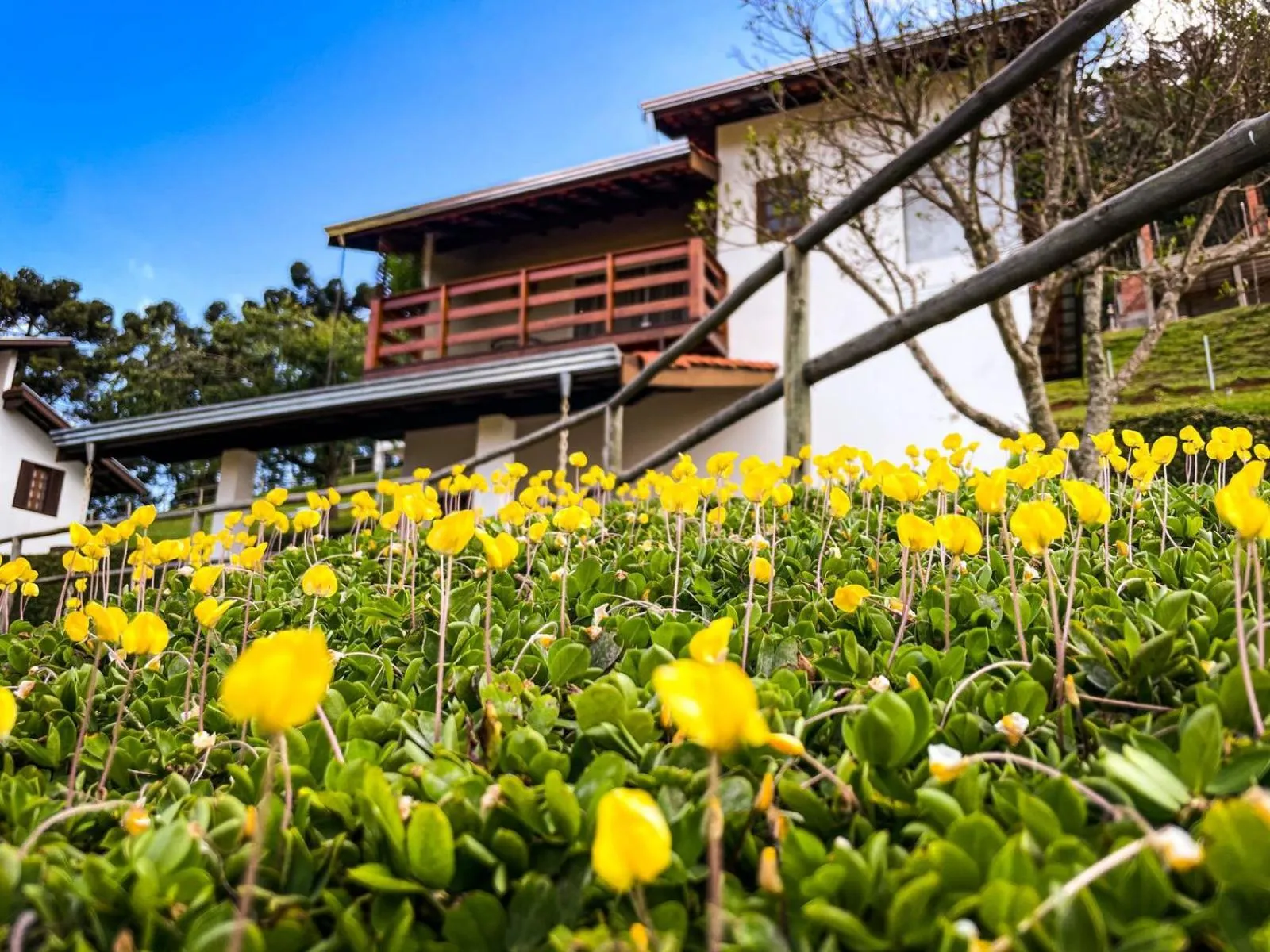 Pousada Colina das Andorinhas