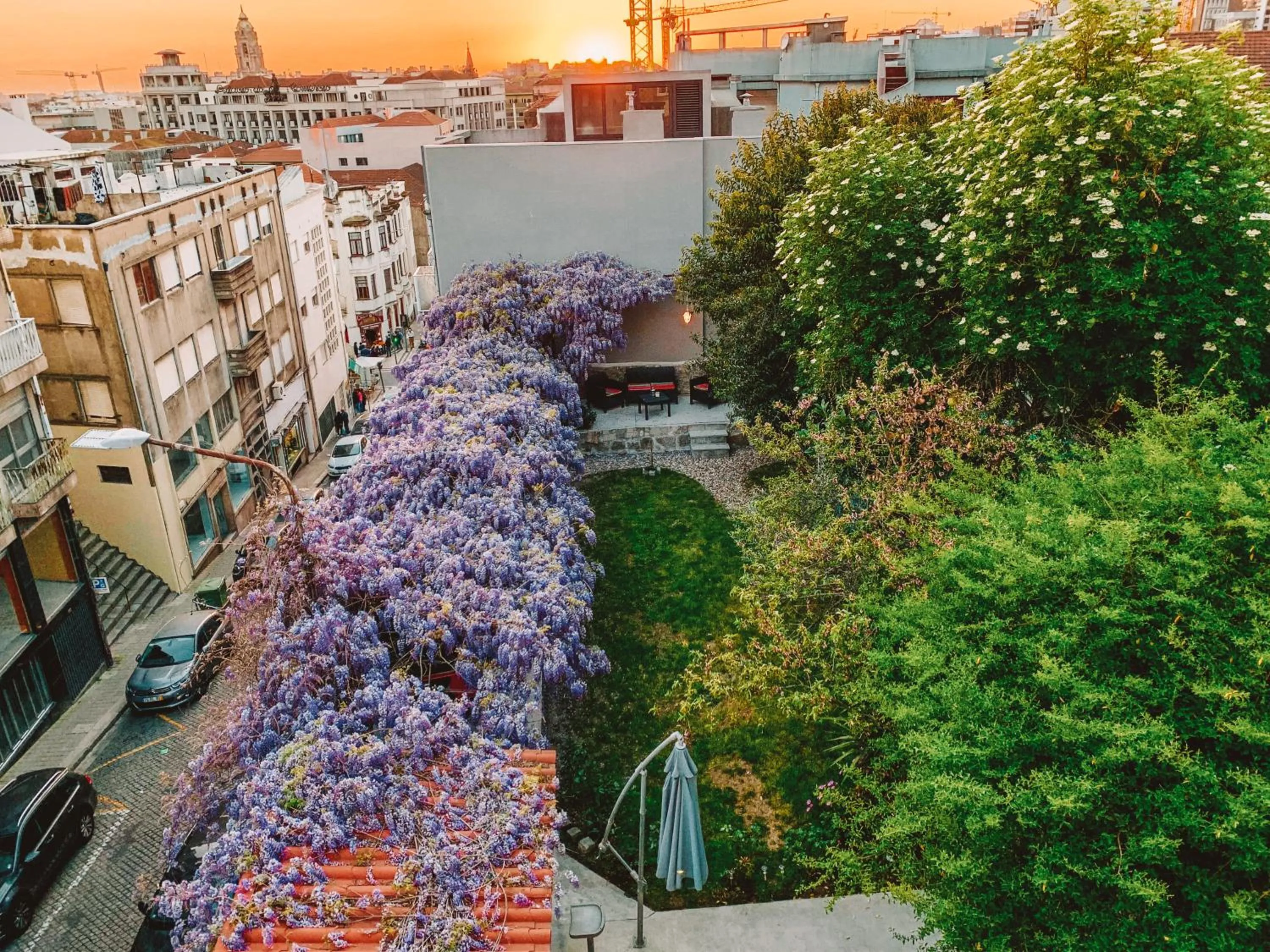 Urban Garden Porto Central Hostel