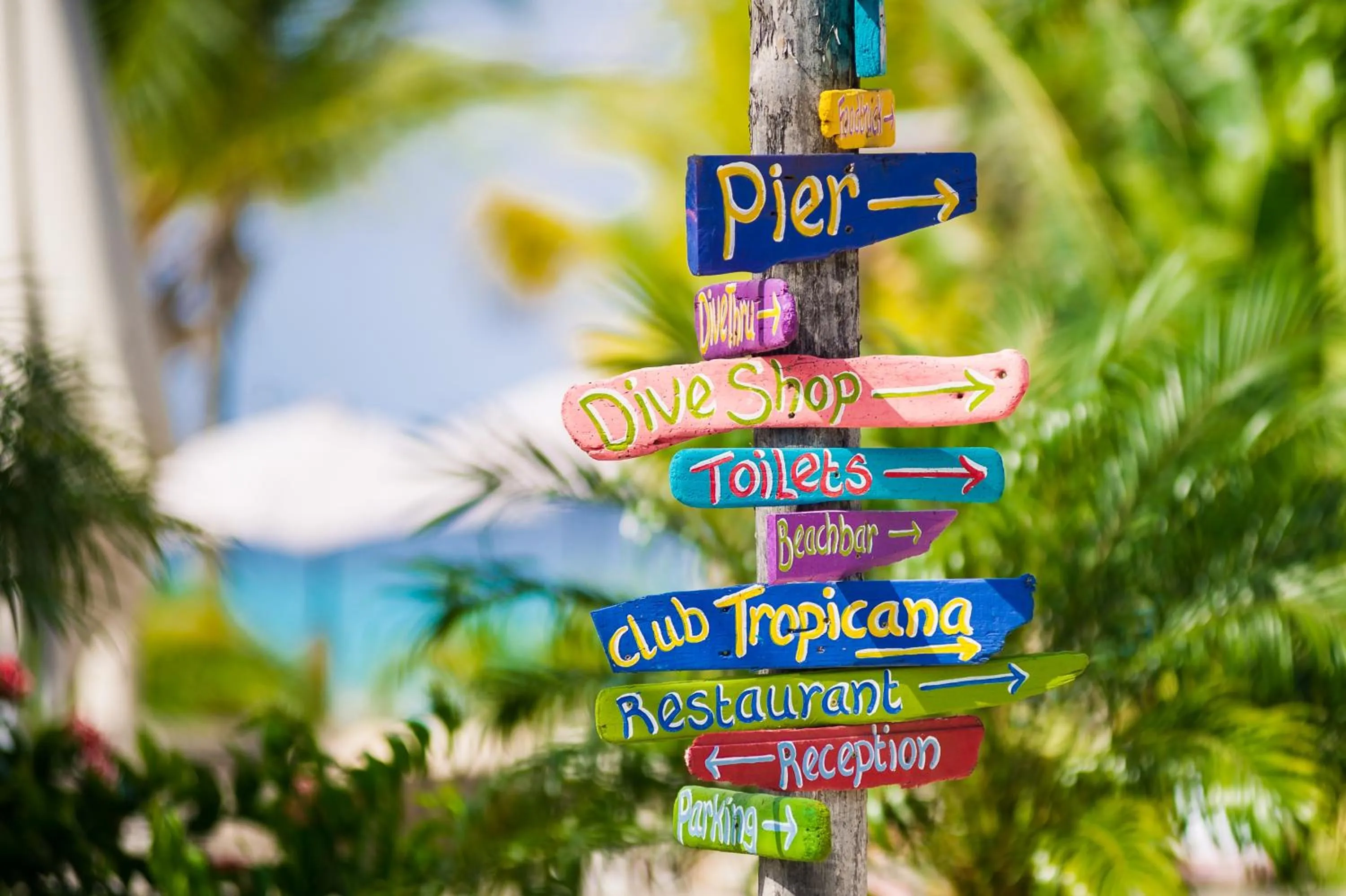 acessibility in Delfins Beach Resort Bonaire, Tapestry Collection by Hilton