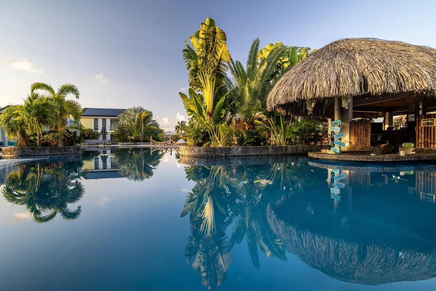 Pool view in Delfins Beach Resort Bonaire, Tapestry Collection by Hilton Pool view in Delfins Beach Resort Bonaire, Tapestry Collection by Hilton