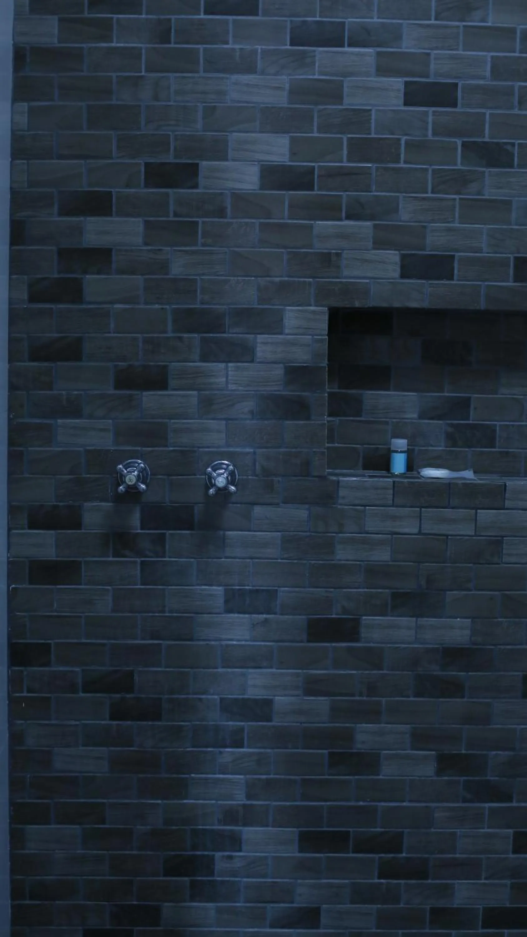 Shower in Punto Madero Hotel & Plaza