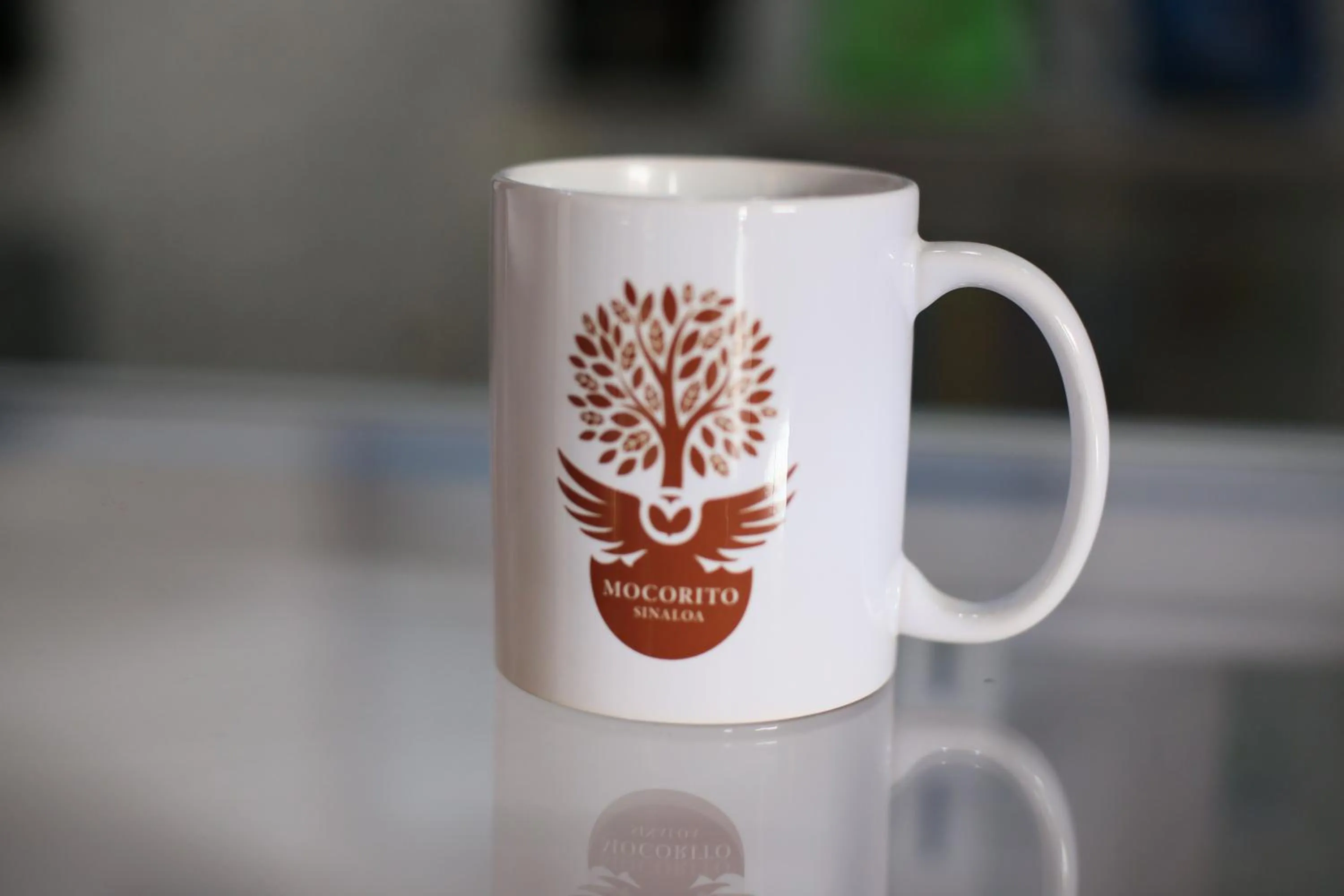 Shopping Area in Punto Madero Hotel & Plaza