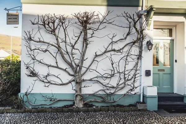 Facade/entrance in Llety Brynawel Guest House