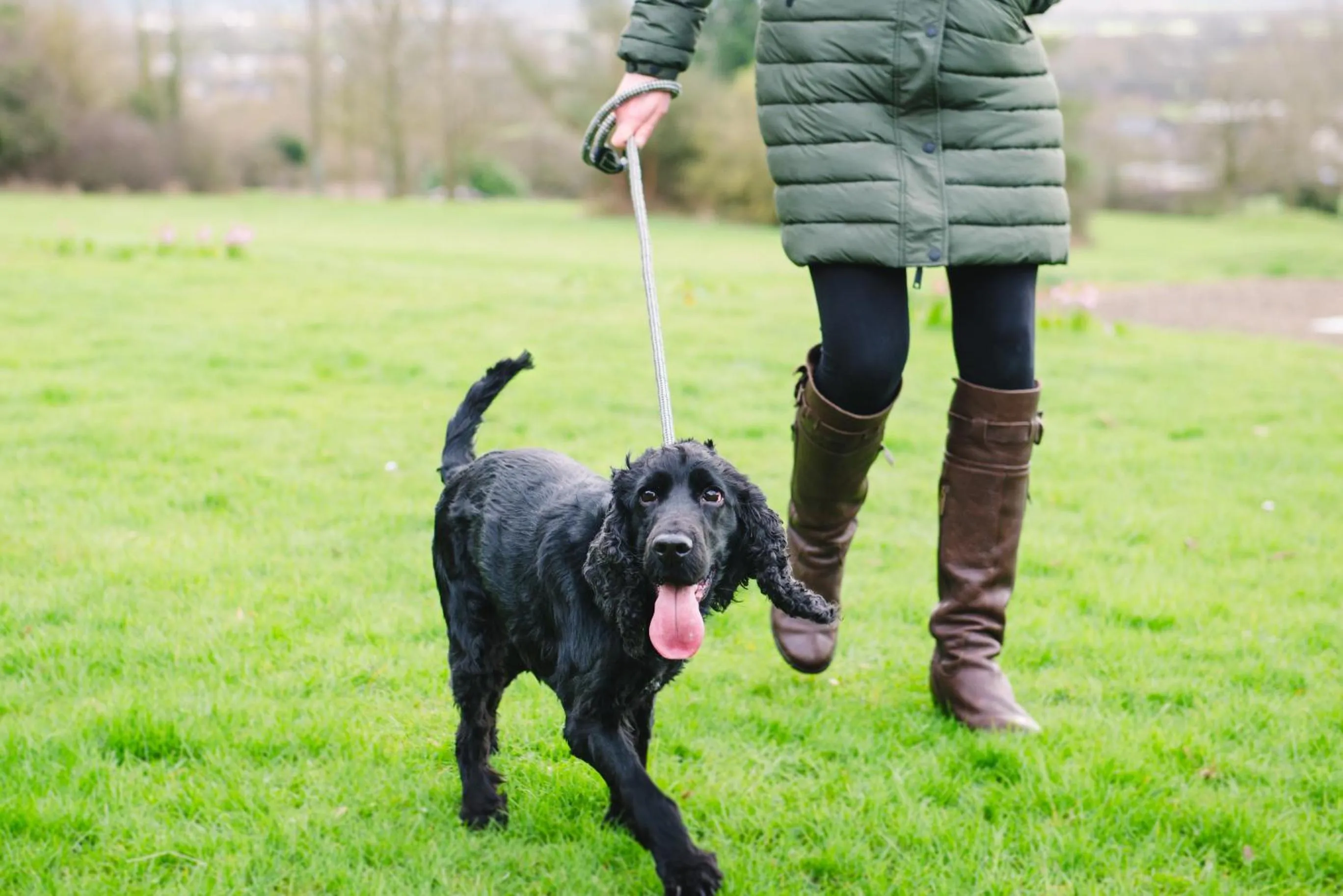 Garden in Cricklade House Hotel, Sure Hotel Collection by Best Western
