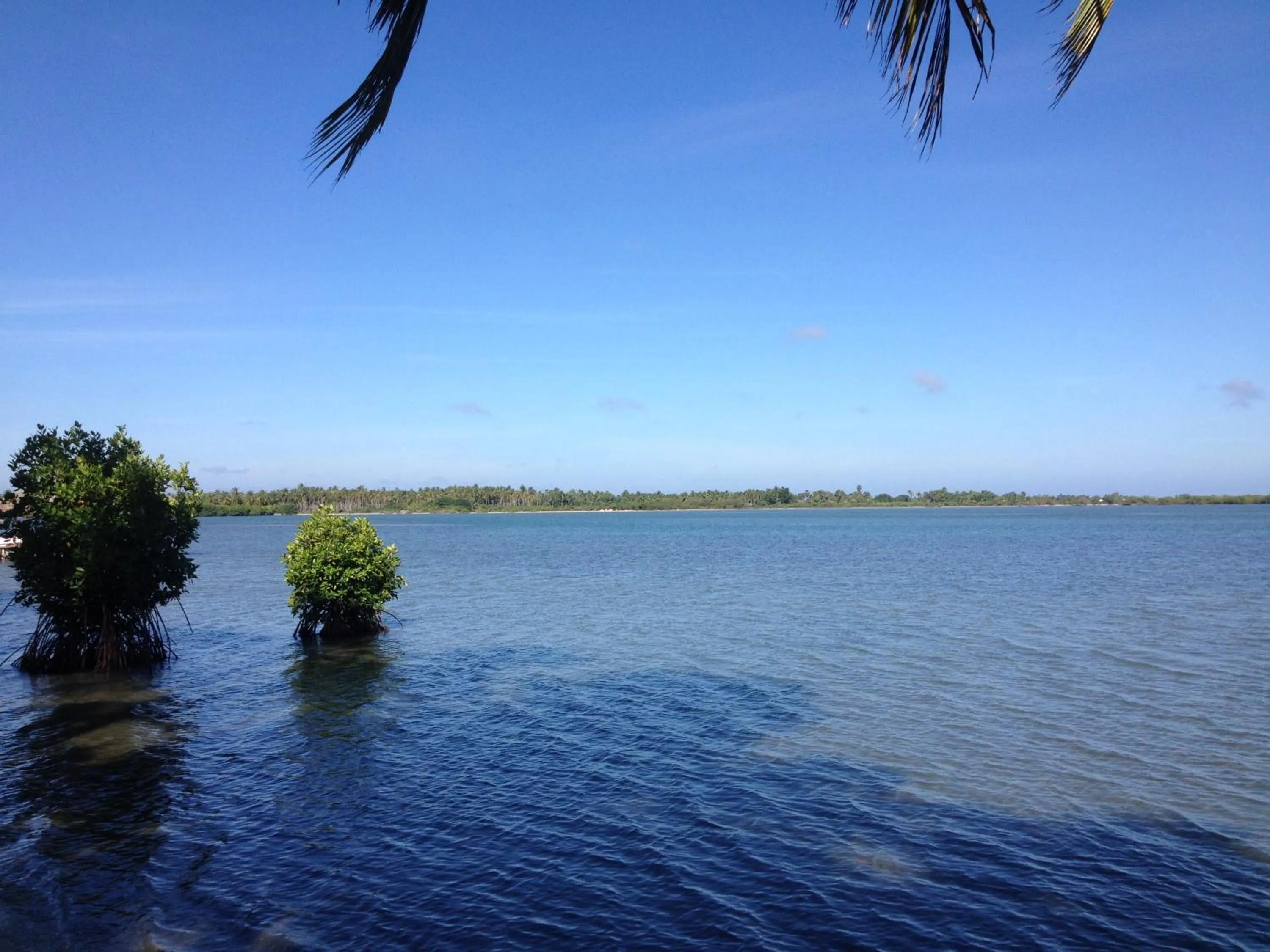 View (from property/room) in Anawasal