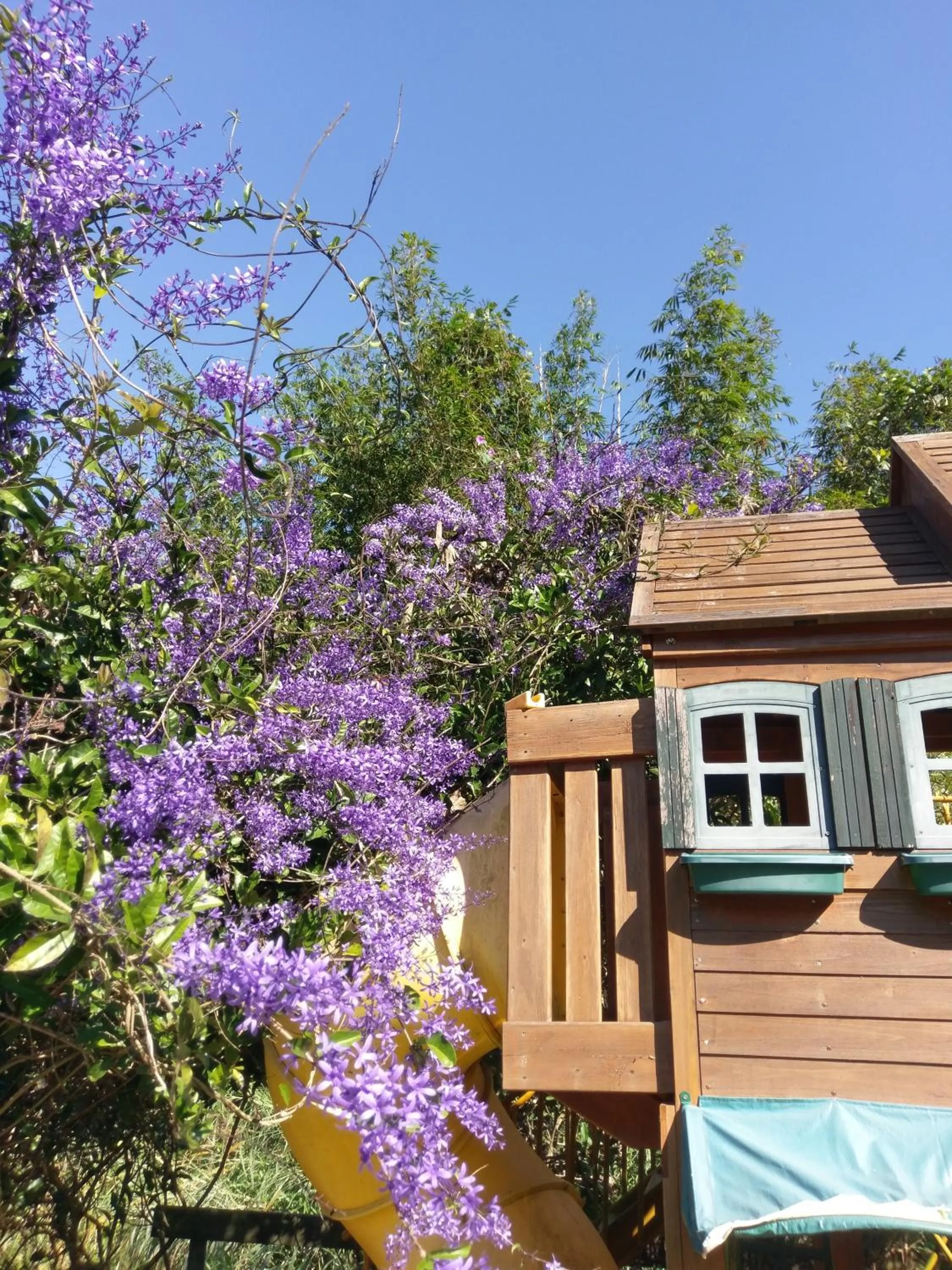 Property building in Bramasole B&B