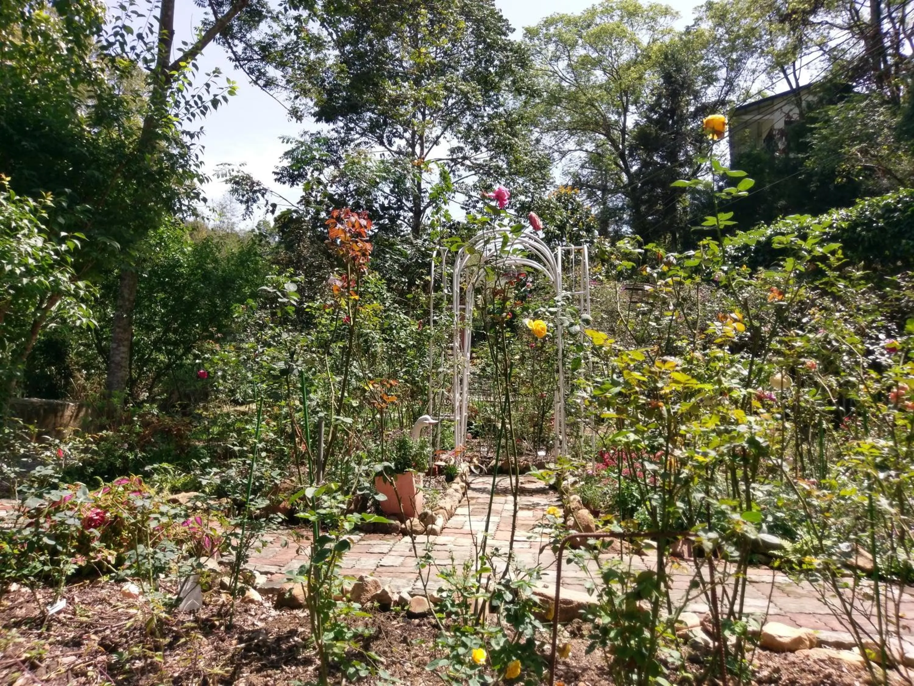 Garden in Bramasole B&B