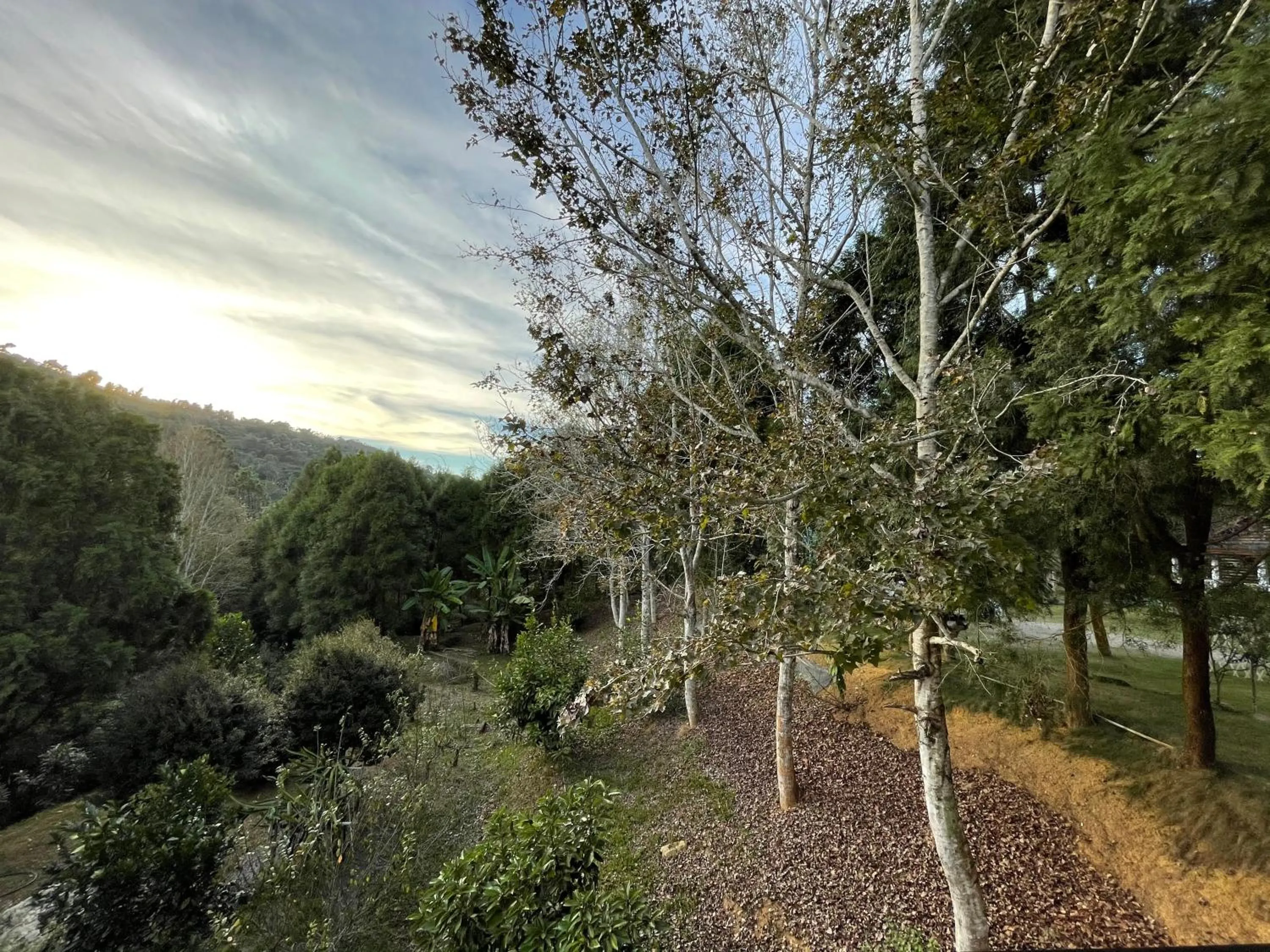 Natural landscape in View on View B&B